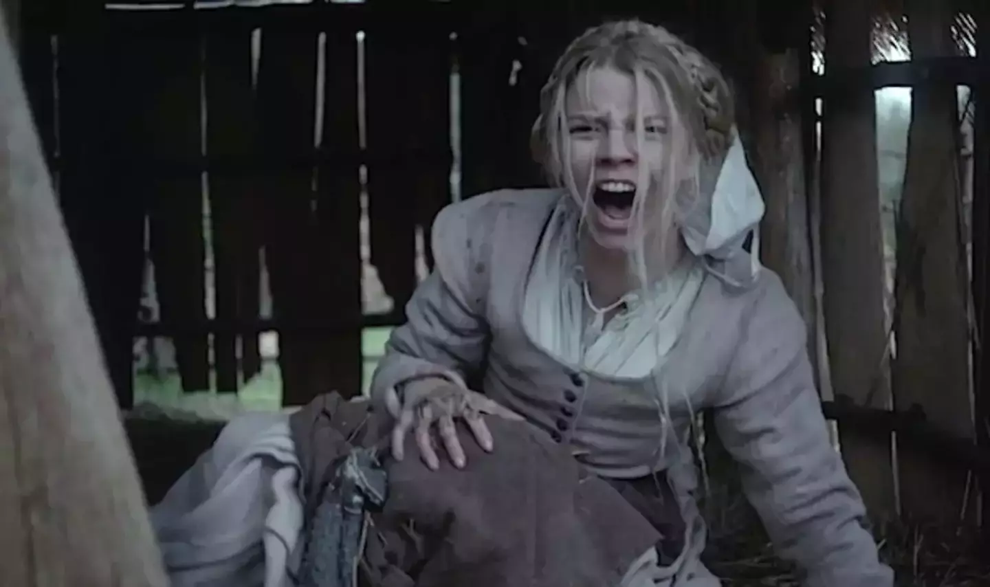 Anya Taylor-Joy made her film debut in Robert Eggers’ The Witch (A24)