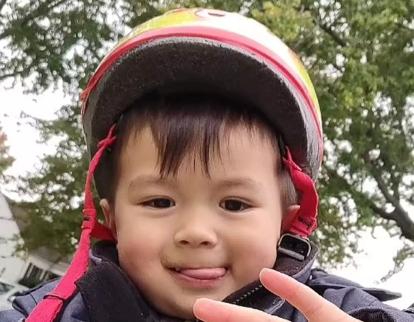 Little Thomas loved dressing up as Mario and playing with his little brother - who was his best friend (Family handout)