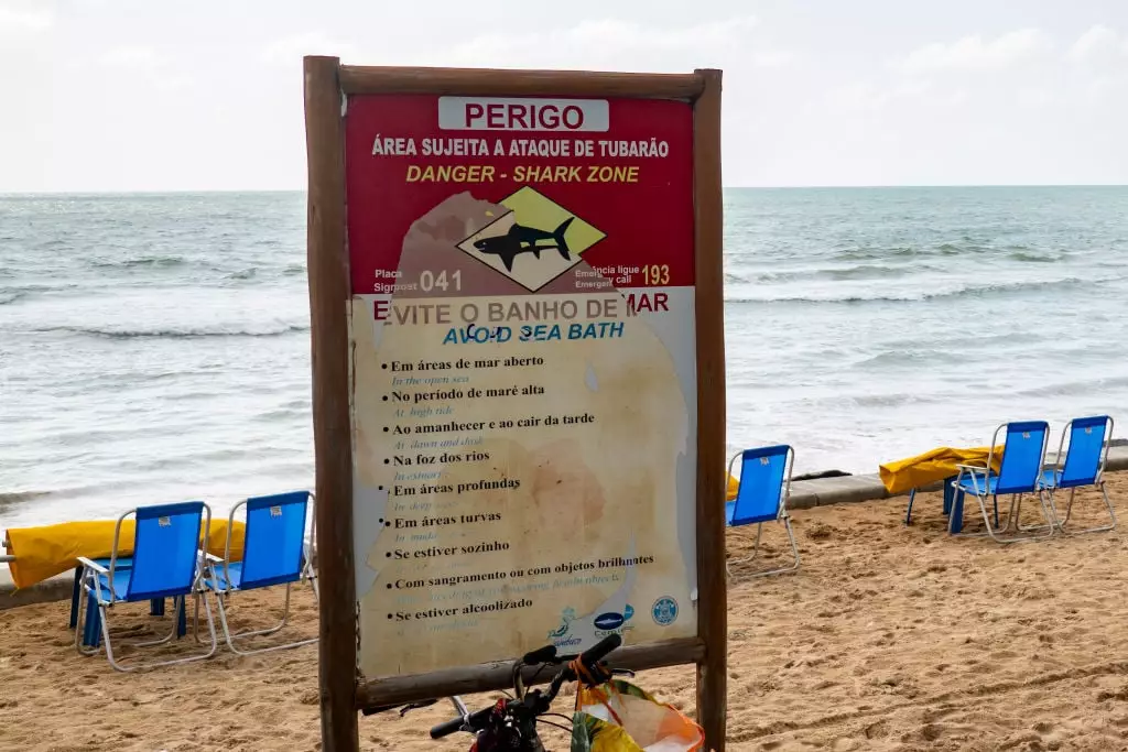 A warning sign about sharks on a beach in Brazil (Emmanuele Contini/NurPhoto via Getty Images)