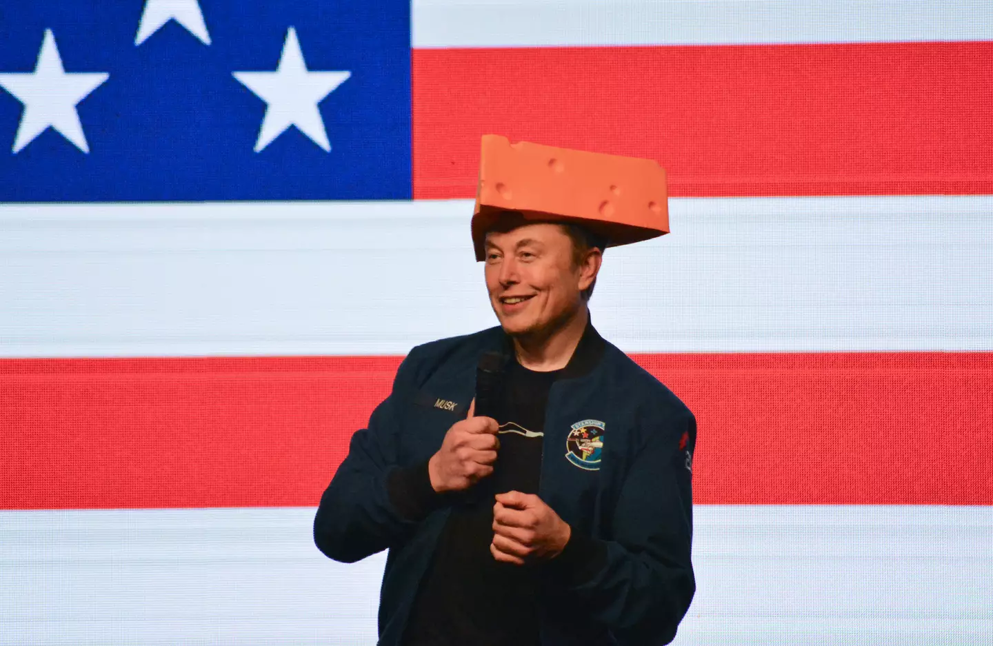 Elon Musk could be set to benefit massively from the lithium deposit discovery (ROBIN LEGRAND/AFP via Getty Images)