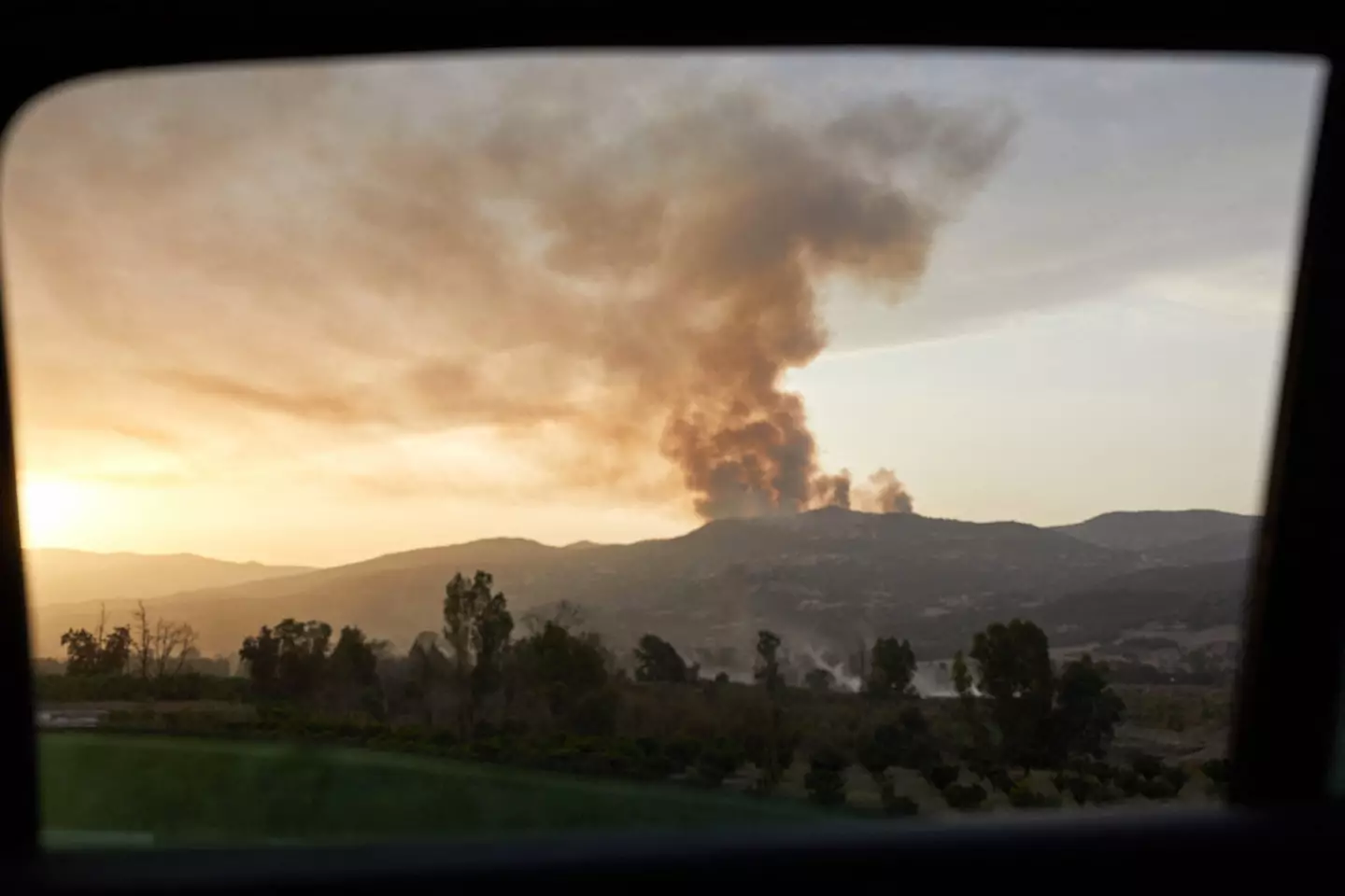 Algeria was struck by a series of devastating wildfires.