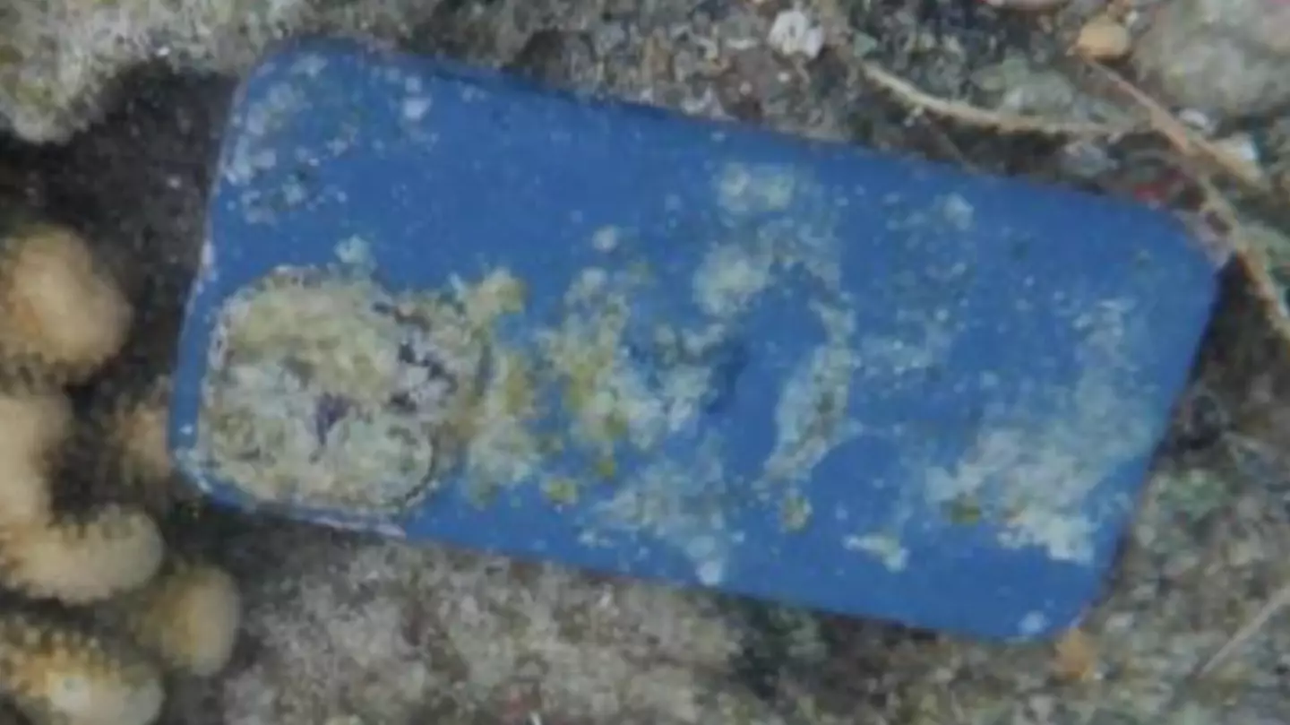 iPhone survives and still works perfectly despite spending 33 days underwater at beach