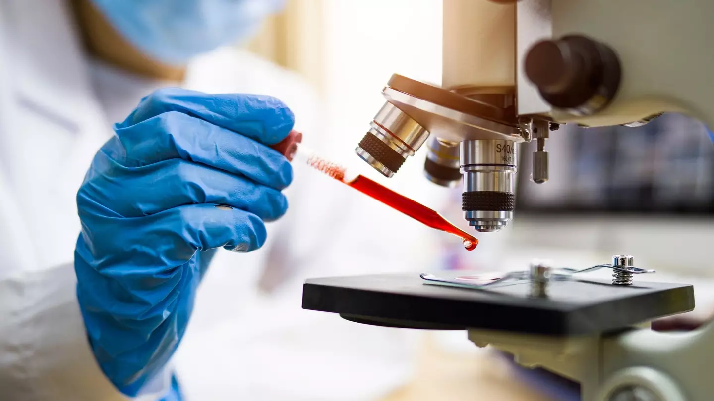 Thana Prasongsin/Getty Images