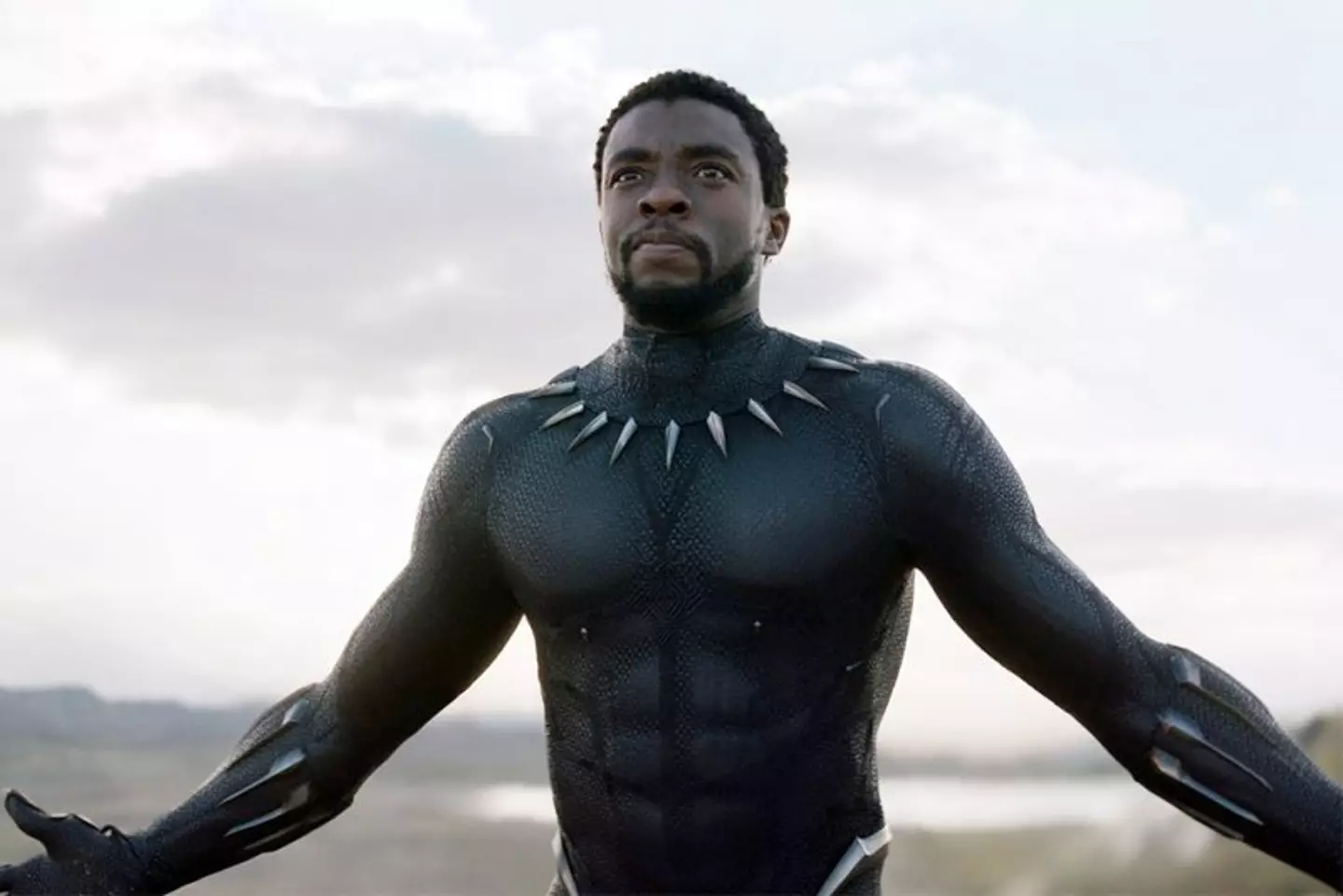 Chadwick Boseman as T'Challa in the 2018 Black Panther.