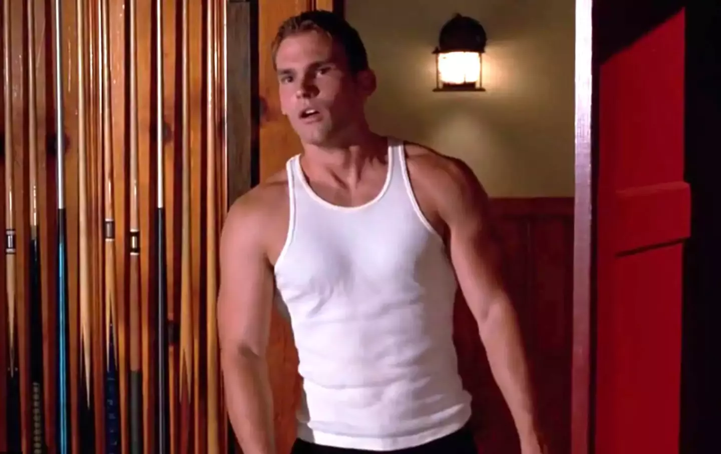 Seann William Scott starred in American Pie.