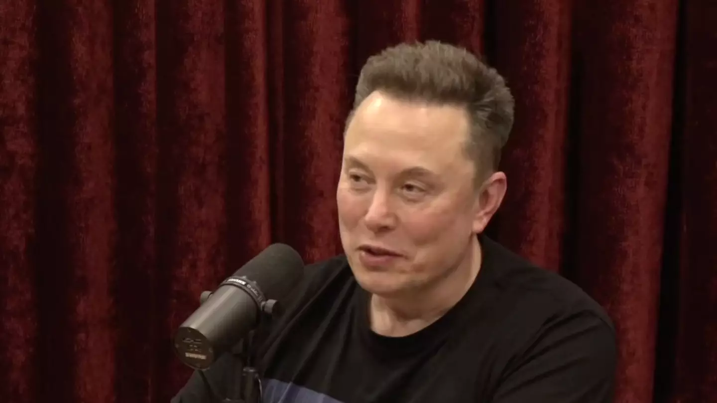 Elon Musk weighs in on mysterious object aiming at Earth that Harvard scientist claims is 'not natural'