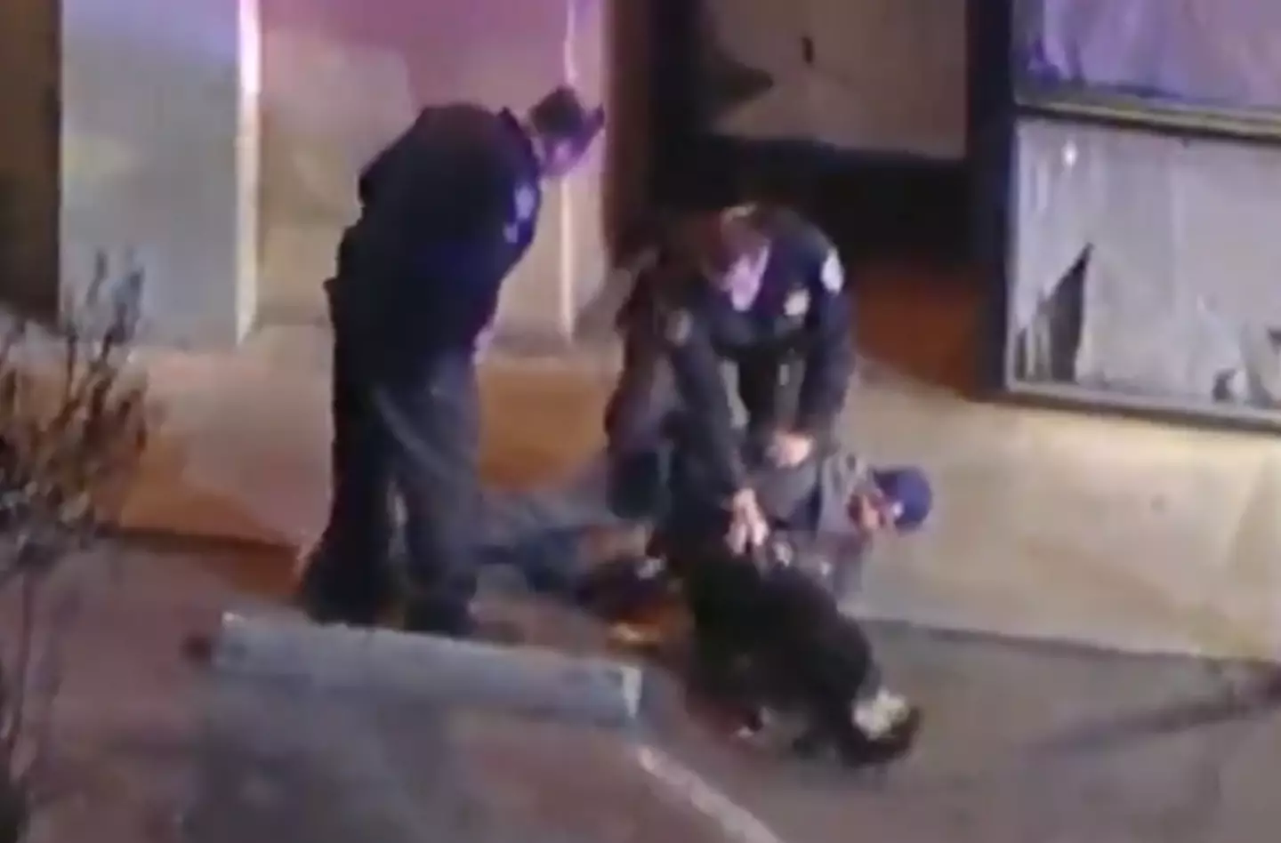 It's unclear whether the man bitten by the K-9 was involved.