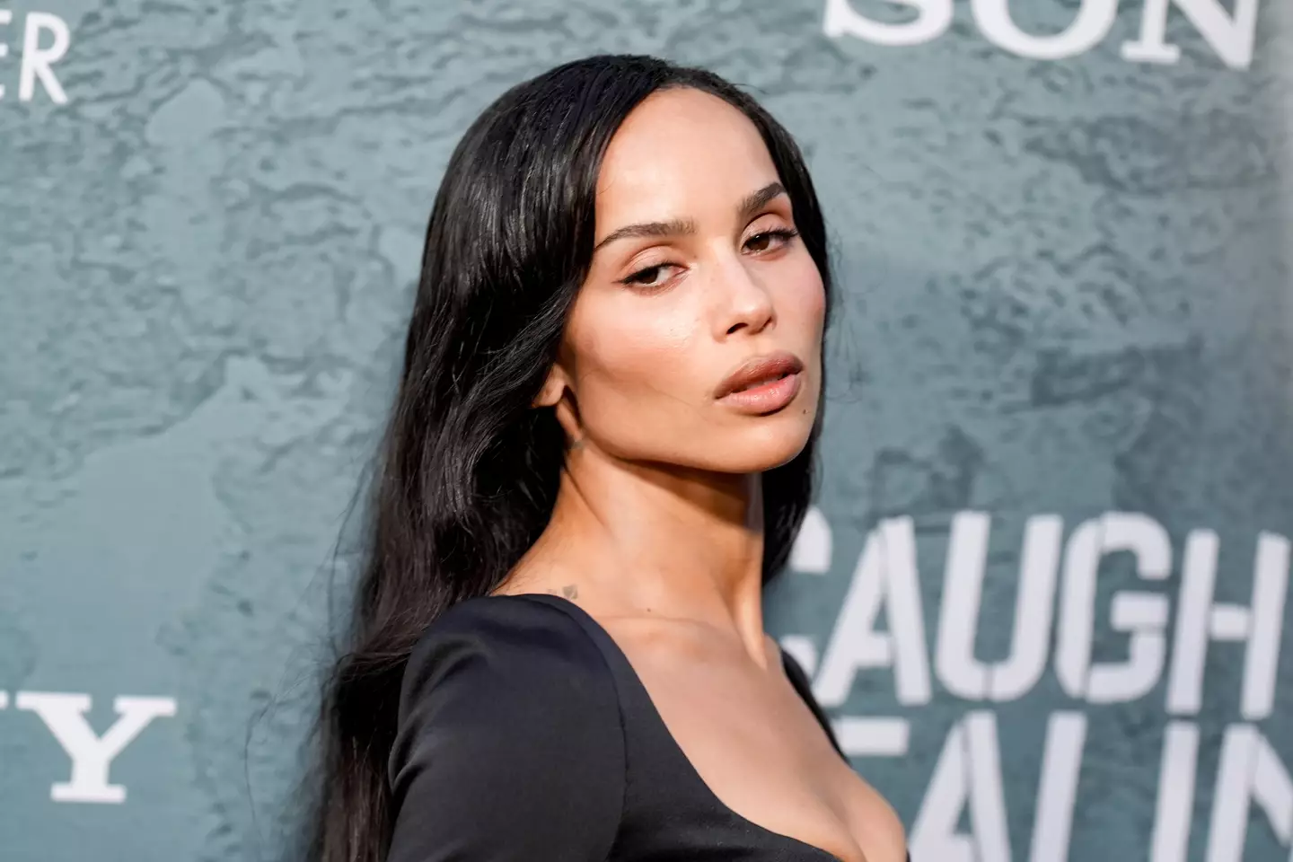 Kravitz joked that people shouldn't be going in other people's fridge and eating unmarked food (John Nacion/Variety via Getty Images)