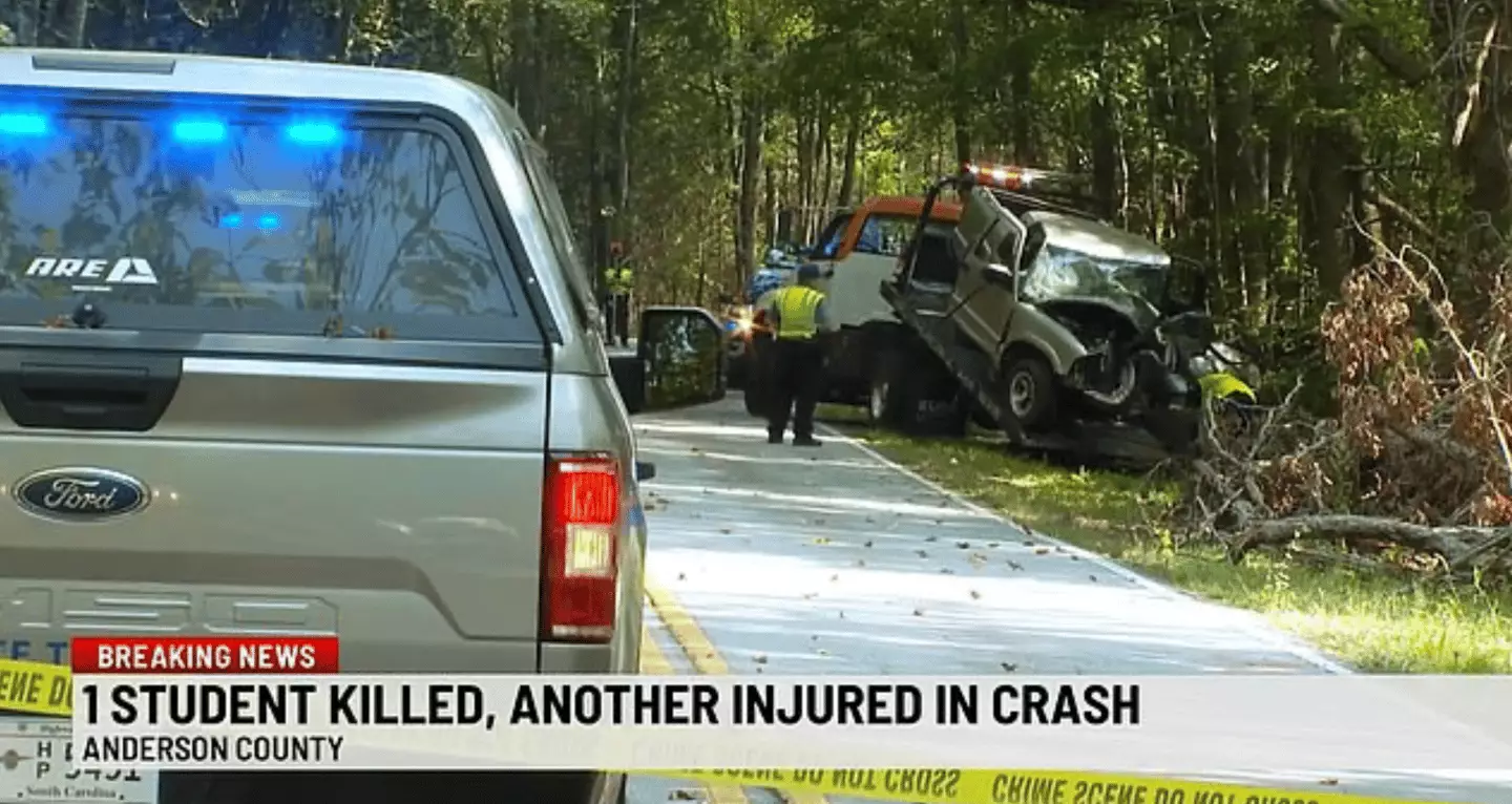 A 'large bird' had hit the car's windshield (WSPA)