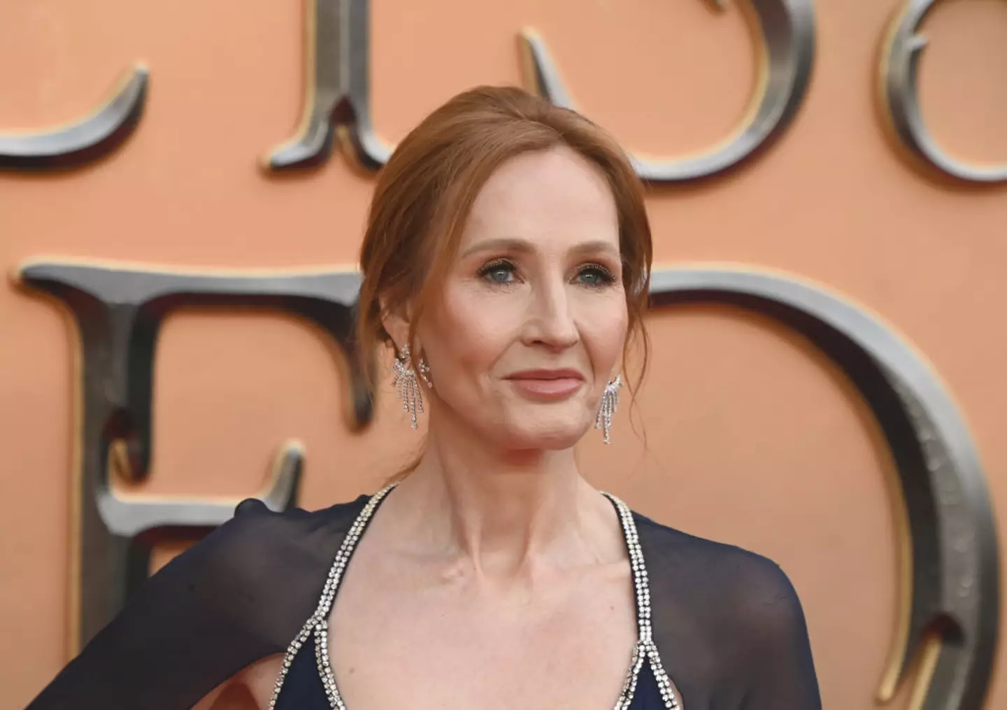 The author has faced some intense criticism (Stuart C. Wilson/Getty Images)