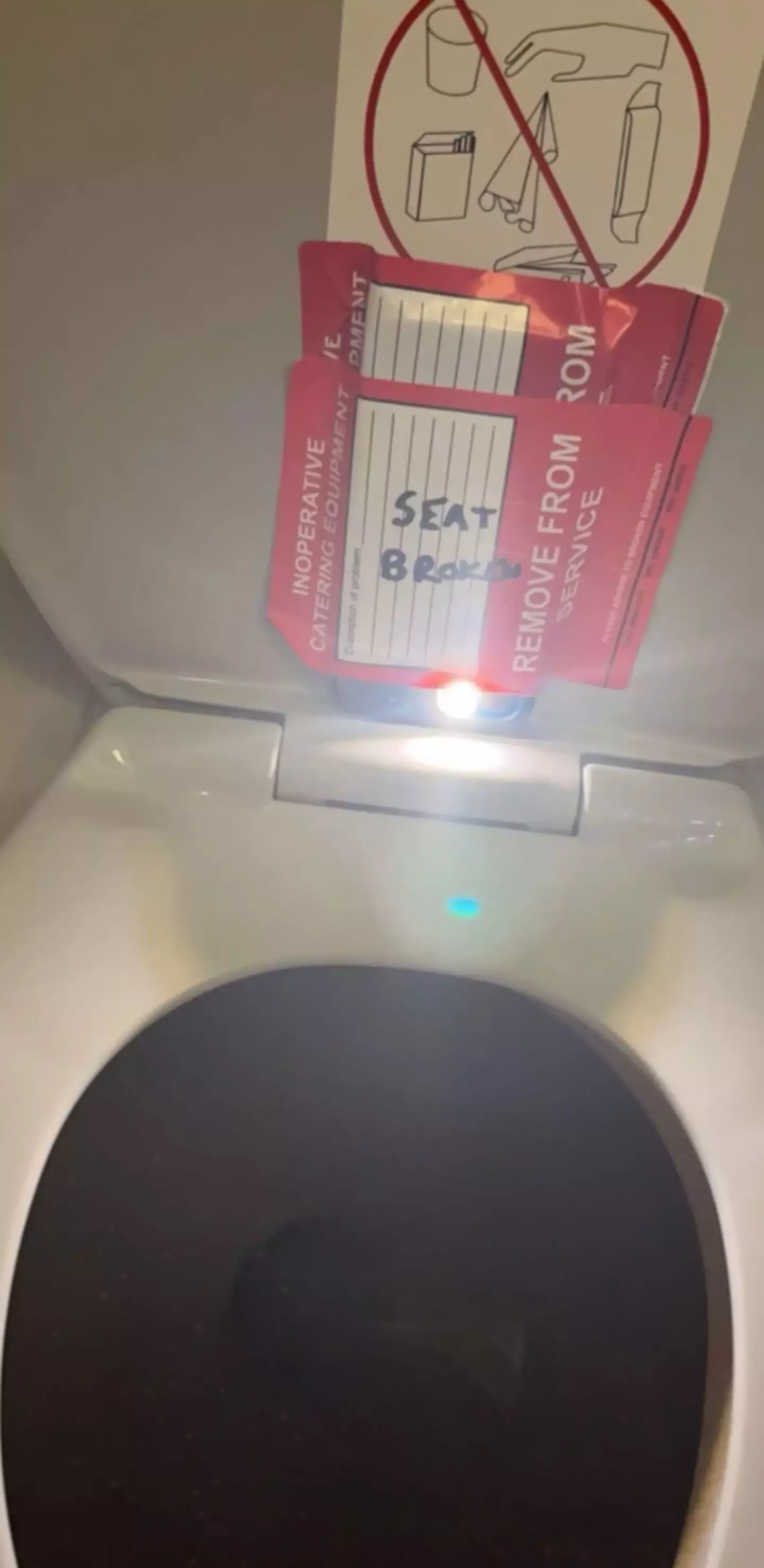 The photo the 14-year-old girl snapped of the toilet.