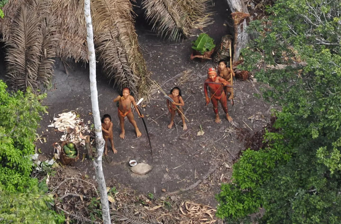 Meirelles also noted how the uncontacted tribes of the region were in danger from illegal loggers in Peru.