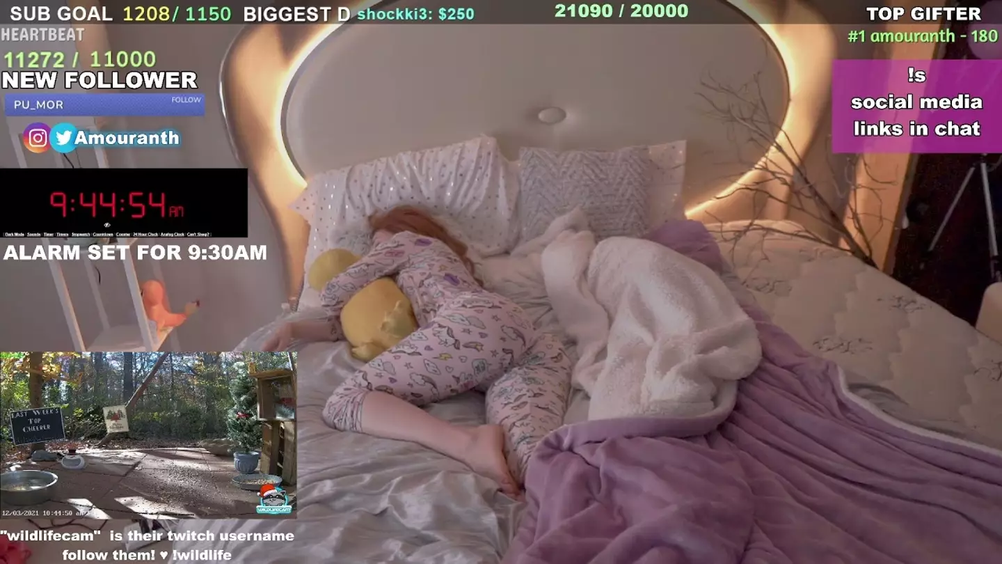 Amouranth's sleep streams are very popular and lucrative.