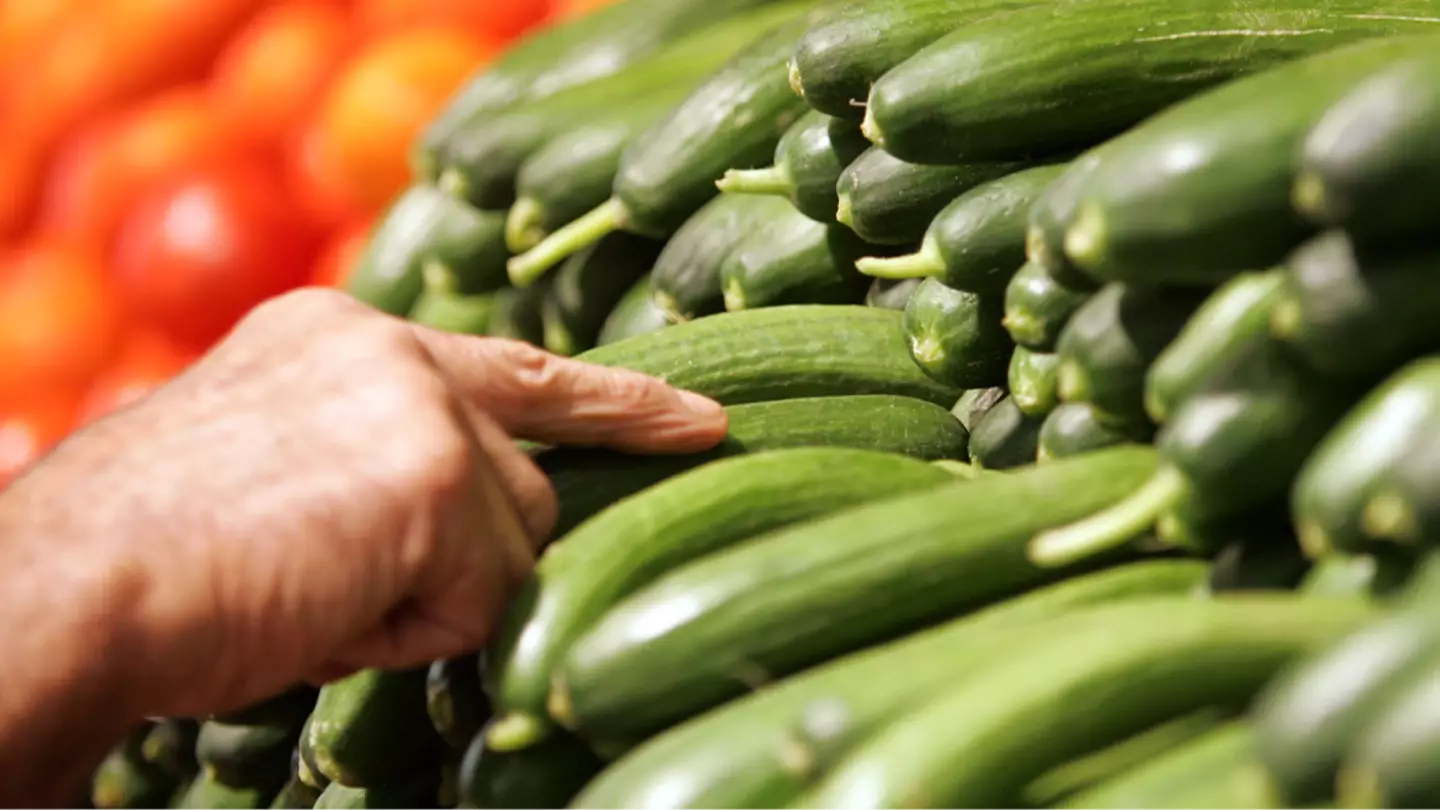 FDA issues urgent cucumber recall over fears they ‘could cause death’ following tests