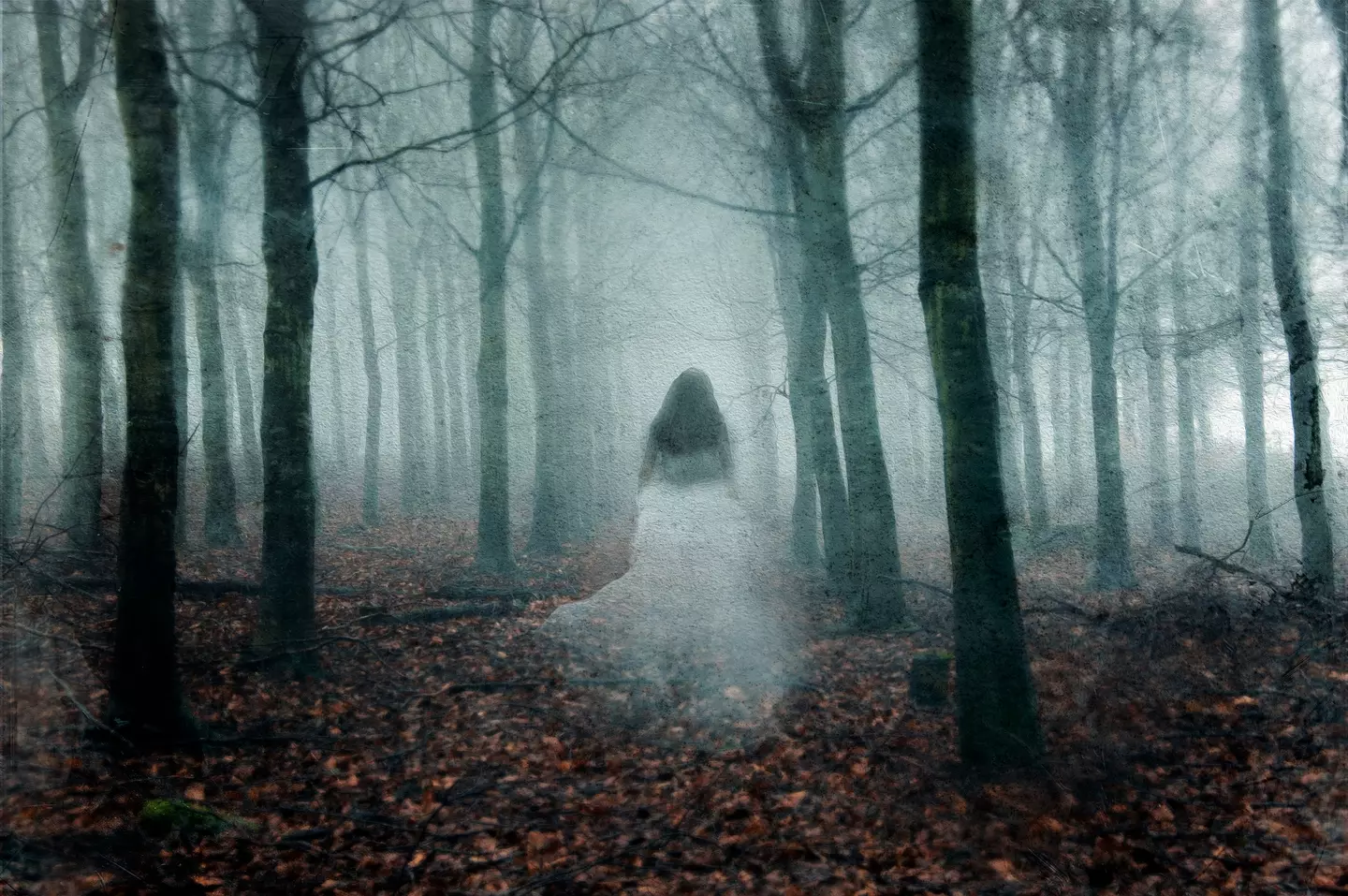 Cassie claims she's been in contact with a ghost (Getty Stock Photo)