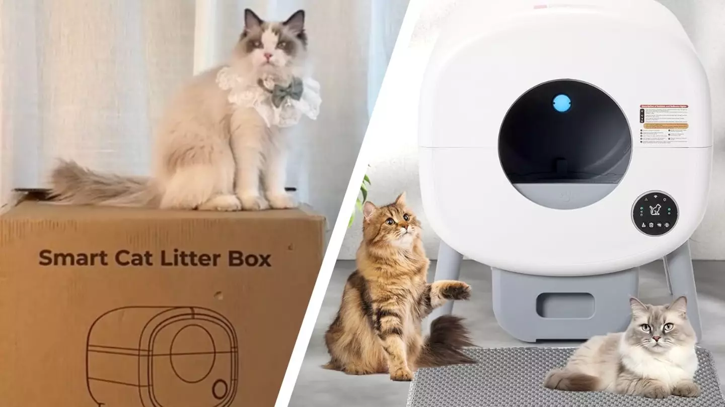 TikTok@peanutneow12/Amazon