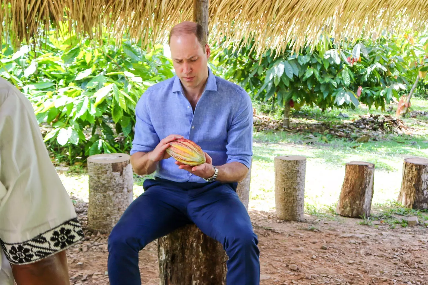 Prince William at Che'il Cacao Farm and Chocolate Factory (