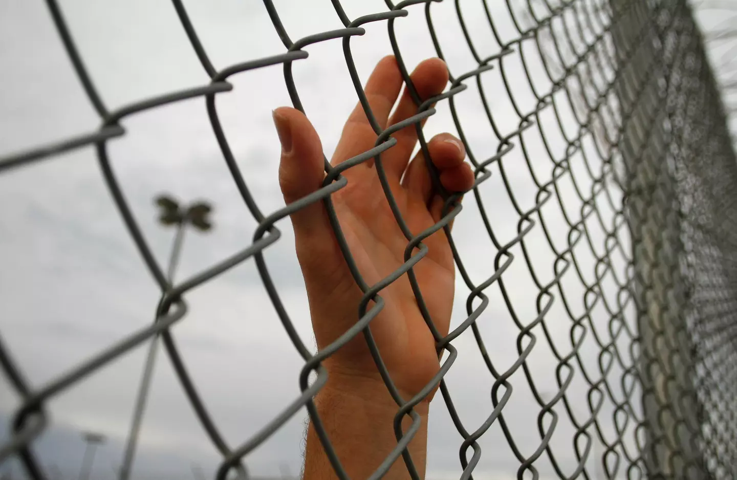 Medrano joined the gang while in prison in Arizona and remained a member even after he was released. (Stock image).