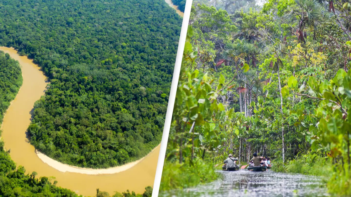 Expert Explains Why There Are No Bridges Across The Amazon River