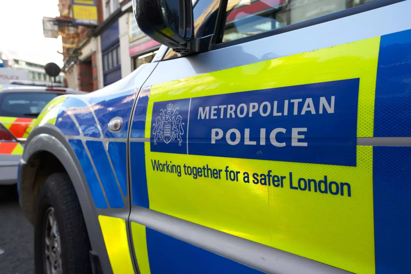 Met Police car (Alamy)