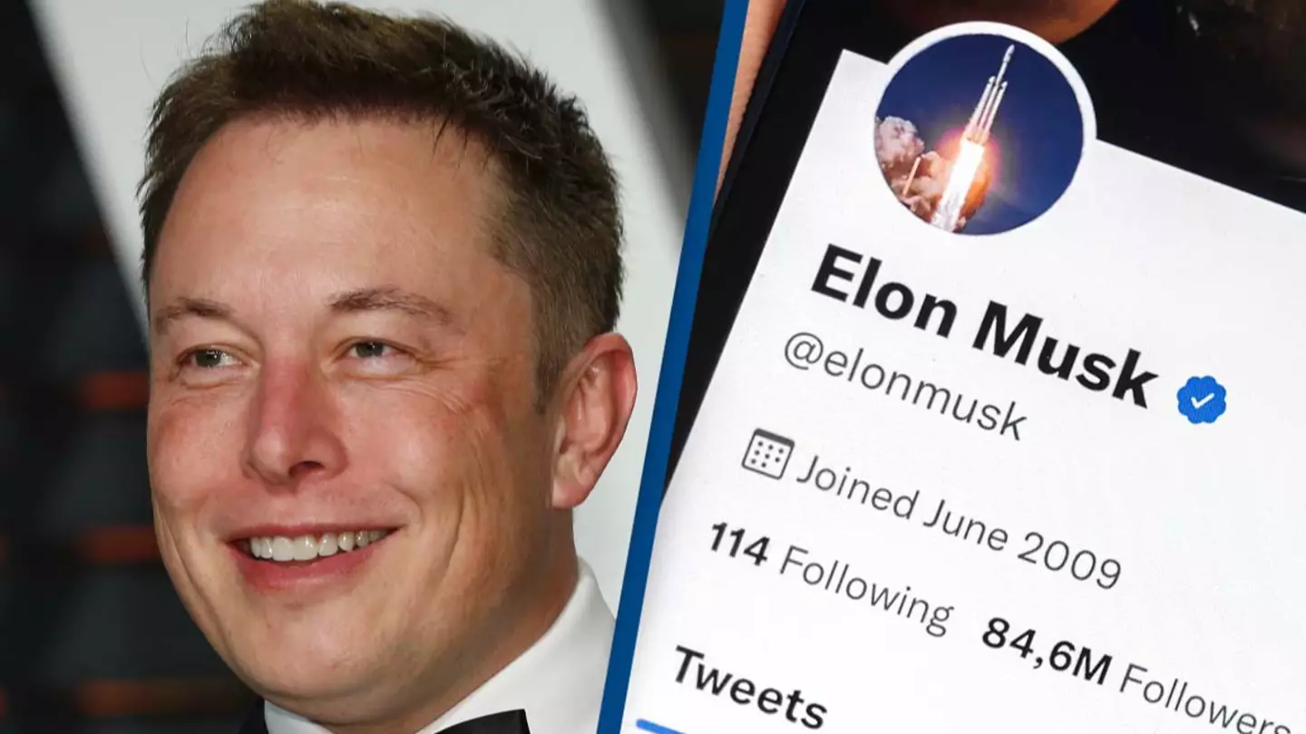 Elon Musk officially launches $8.00 service for Twitter blue tick