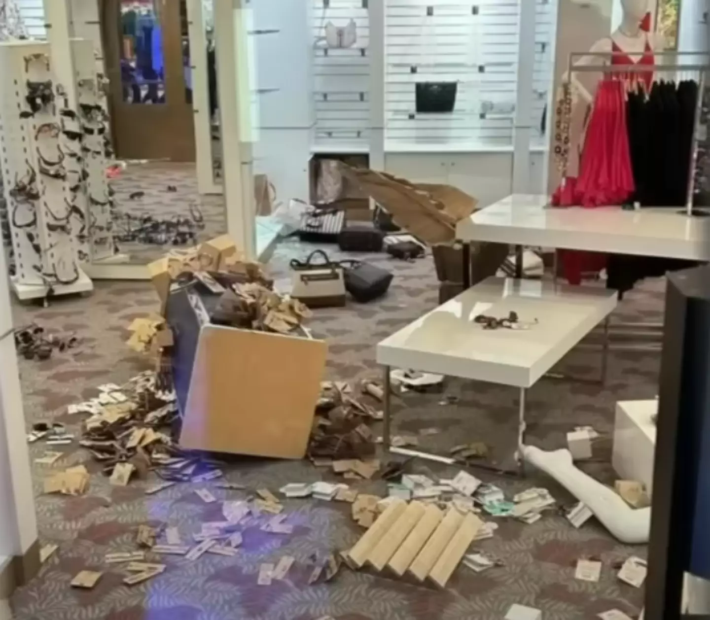 Items fell from shelves and tables on the ship (CBS Miami)