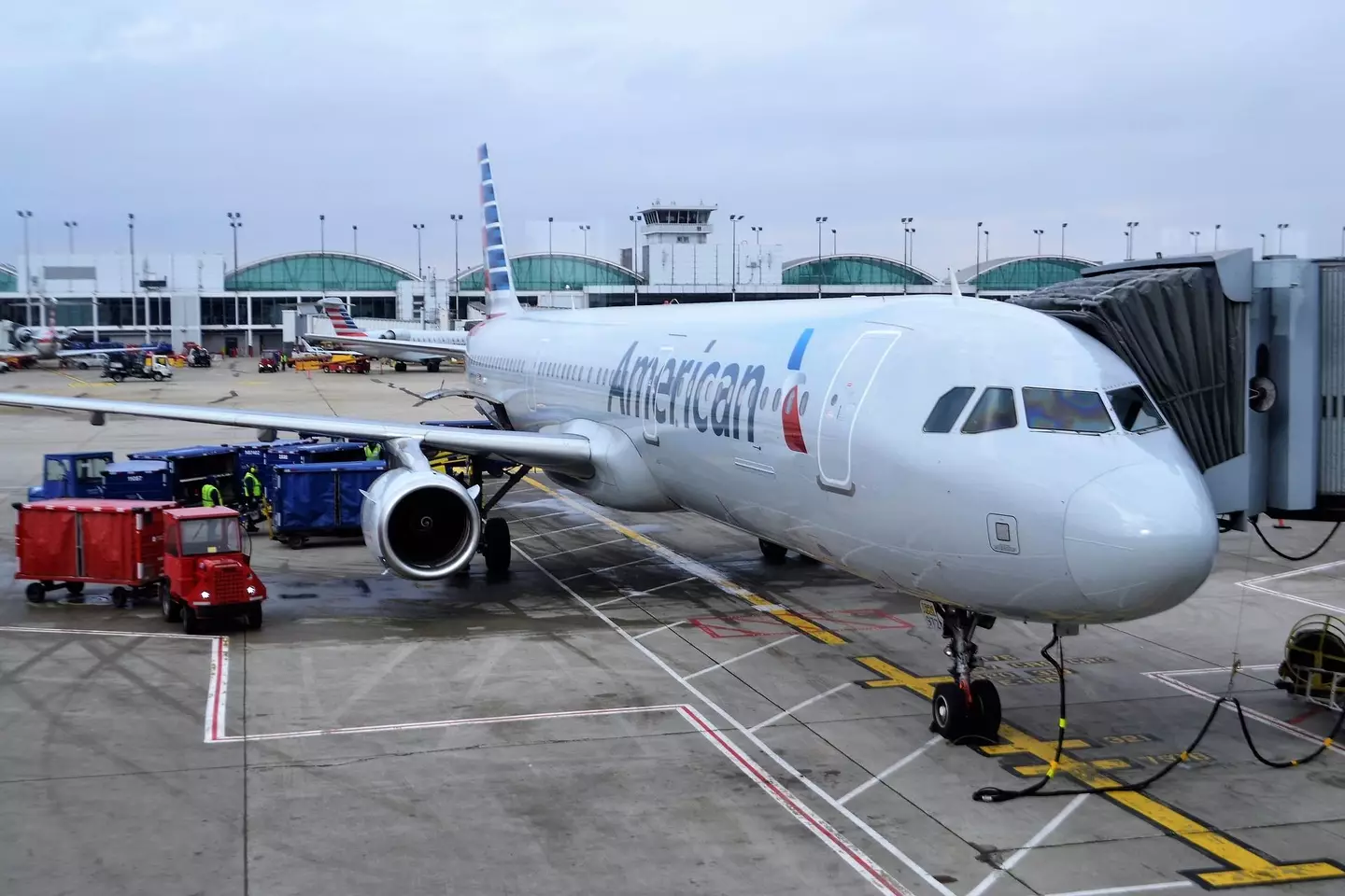 The man collapsed on an American Airlines flight.