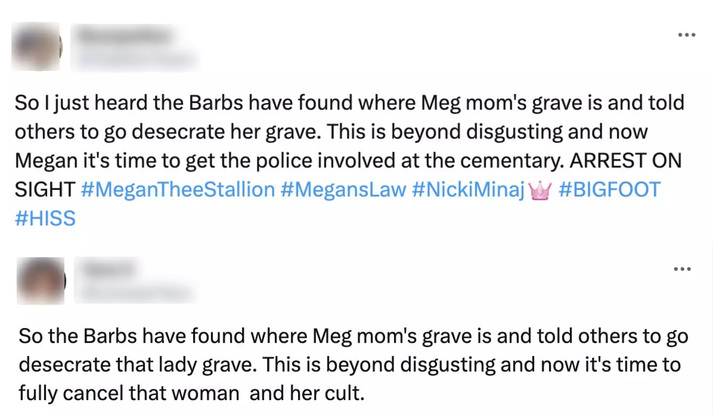 People have hit out at Nicki's fans for allegedly sharing where Megan's mom is buried.