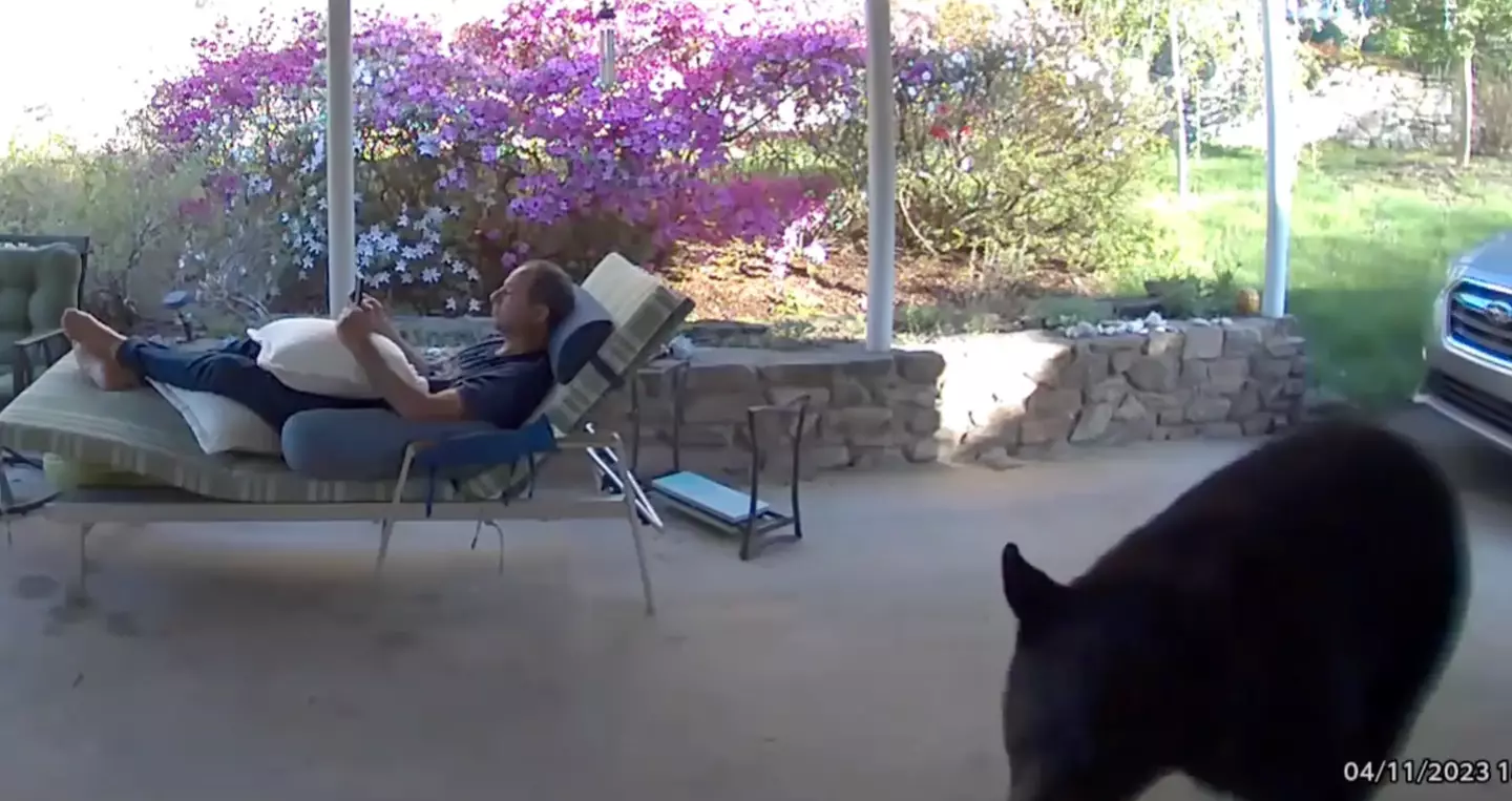 David was relaxing in his garden completely unaware of the bear just behind him.