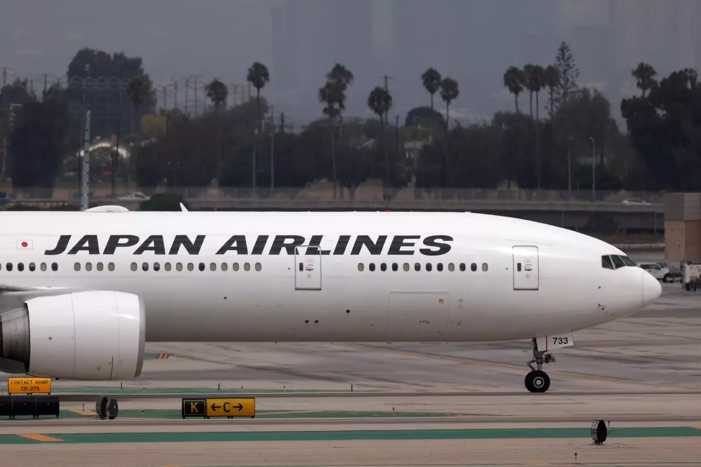 Several Japan Airlines flights were affected (Kevin Carter/Getty Images)