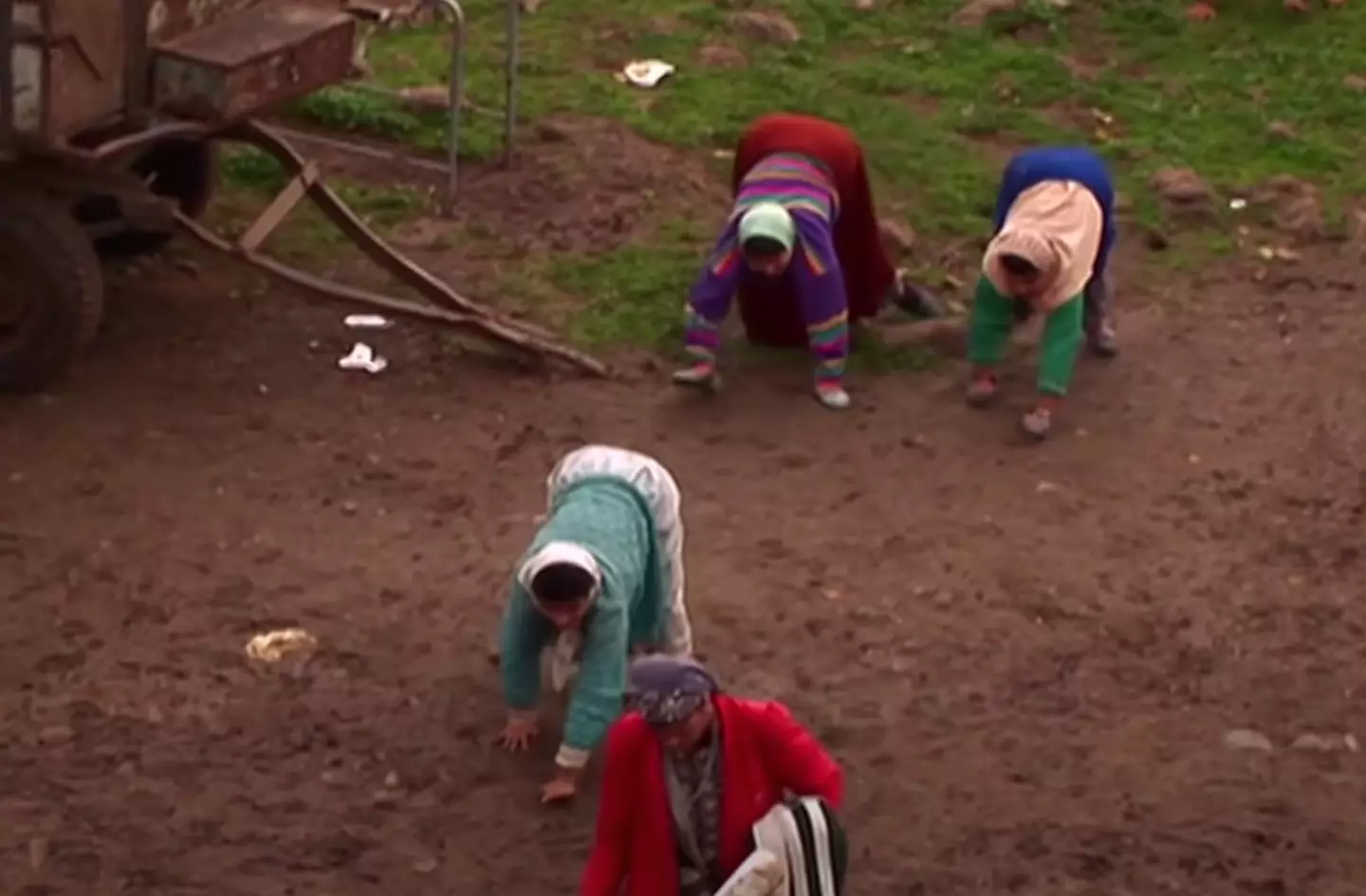 Professor Humphrey said the description of the family as having undergone 'devolution' was 'insulting'.