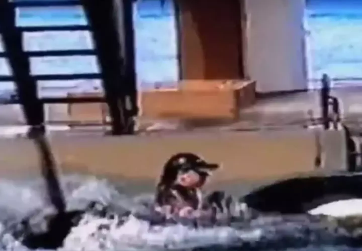 The terrifying incident took place in 2010.