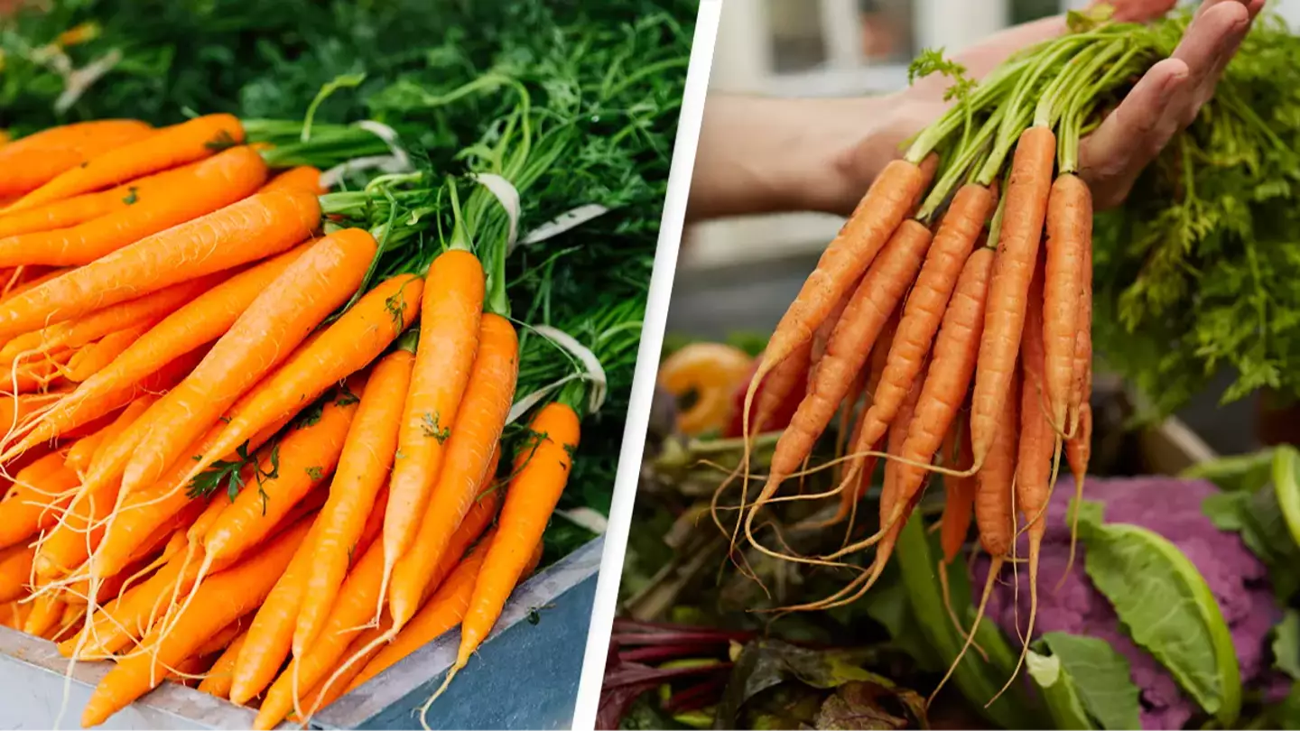 One dead and dozens ill after eating carrots contaminated with E. coli