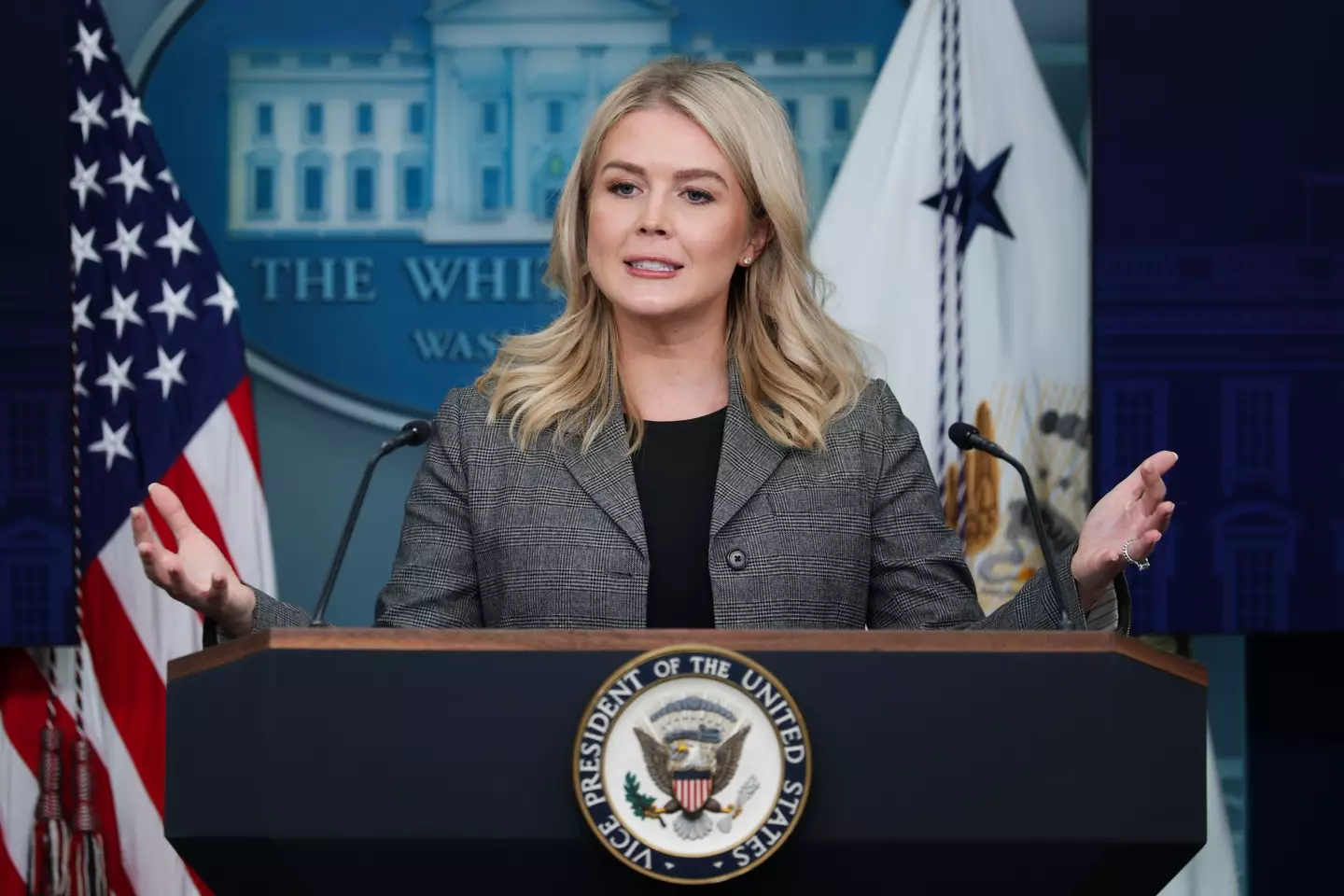 The woman facing deportation is the mother of Karoline Leavitt's nephew (Alex Wong/Getty Images)