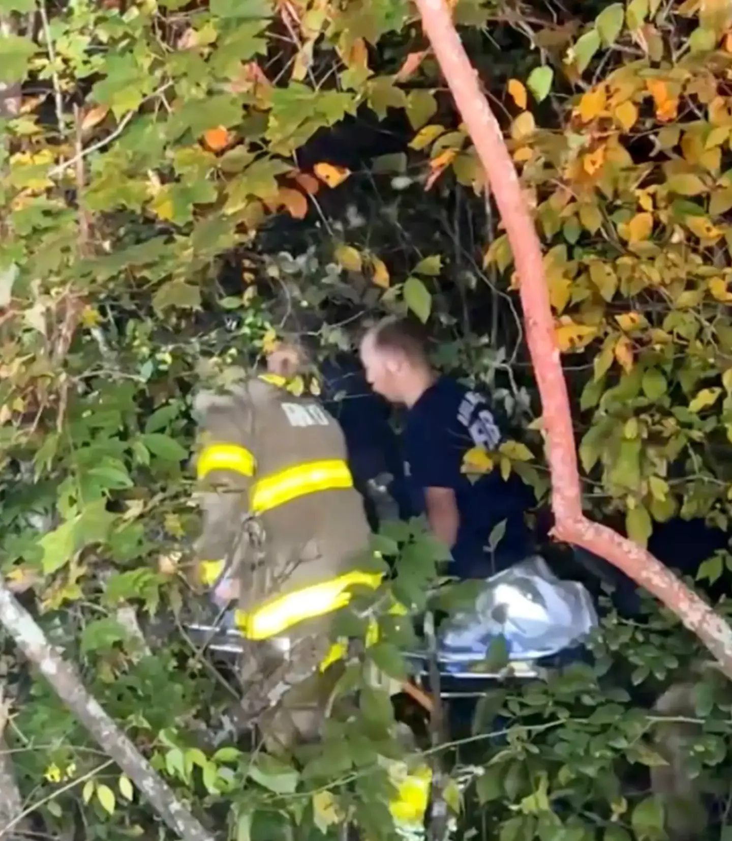 Boyle had been in the ditch for three days.