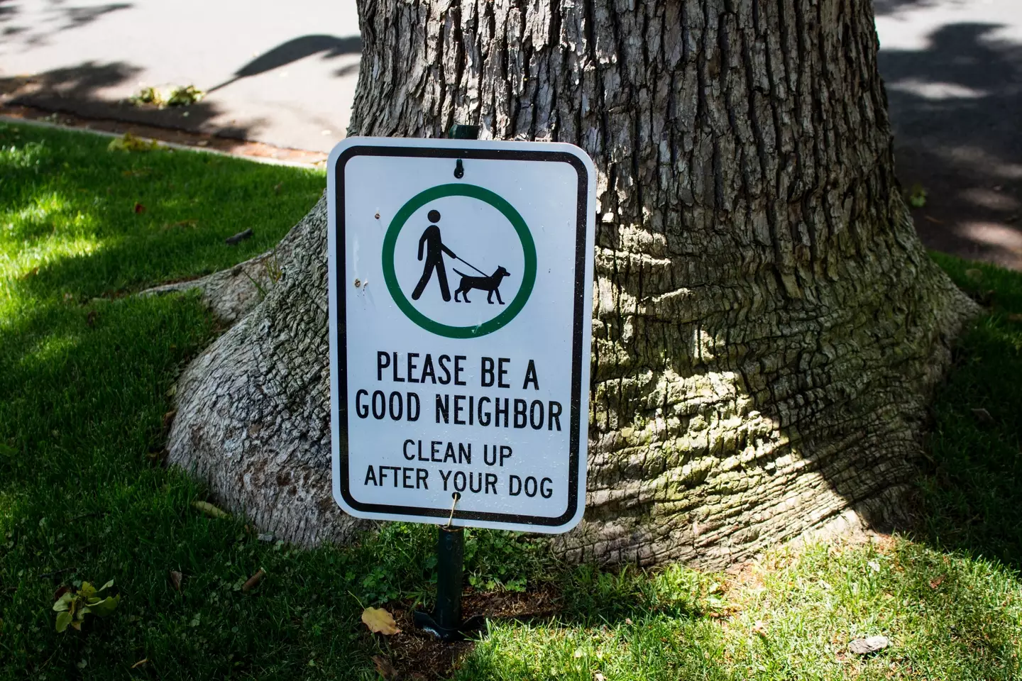 The Florida woman reportedly 'smeared' poop over her neighbor's face.