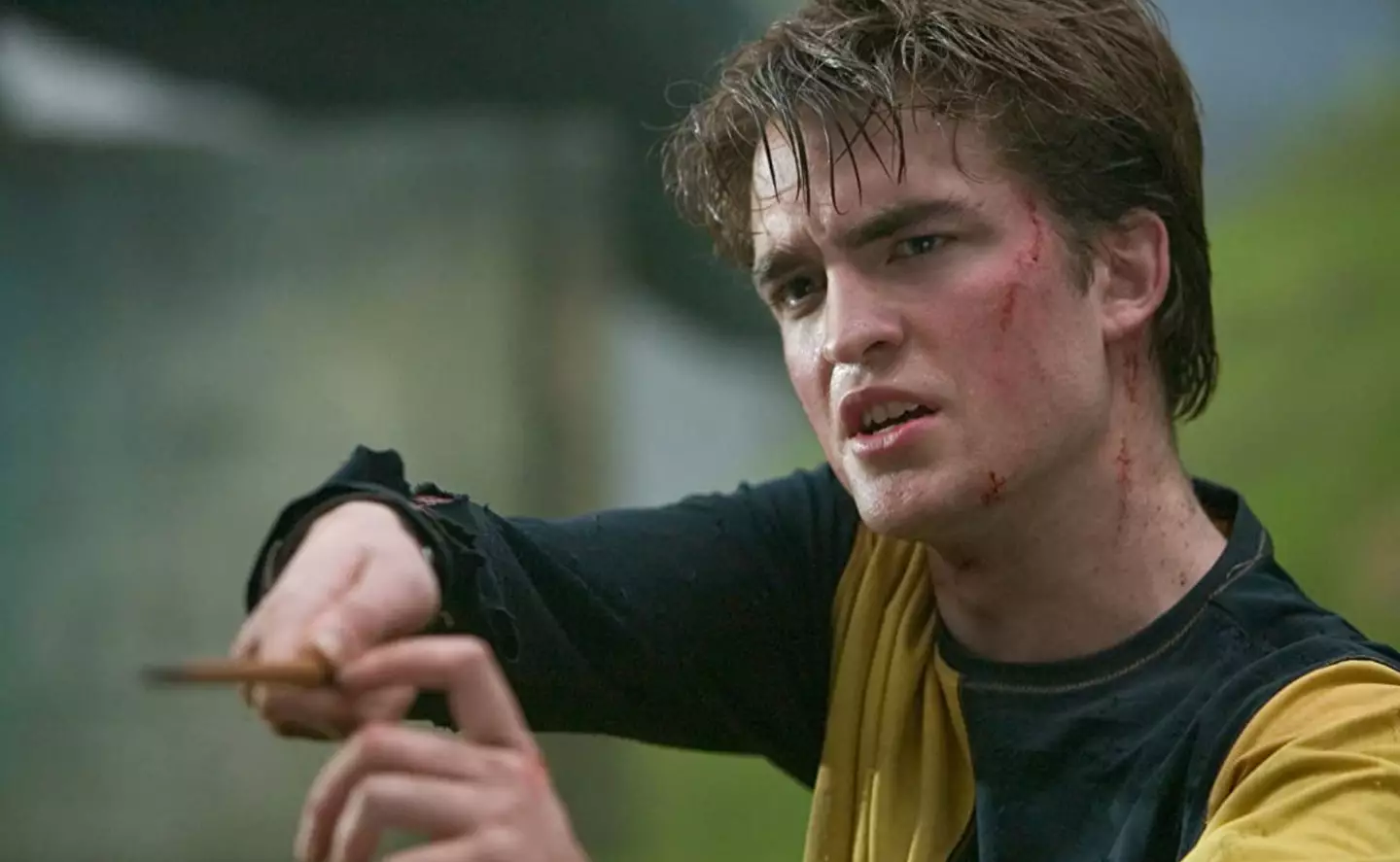 Cedric is most widely recognised as being played by Robert Pattinson however another actor took on the role in the franchise too.