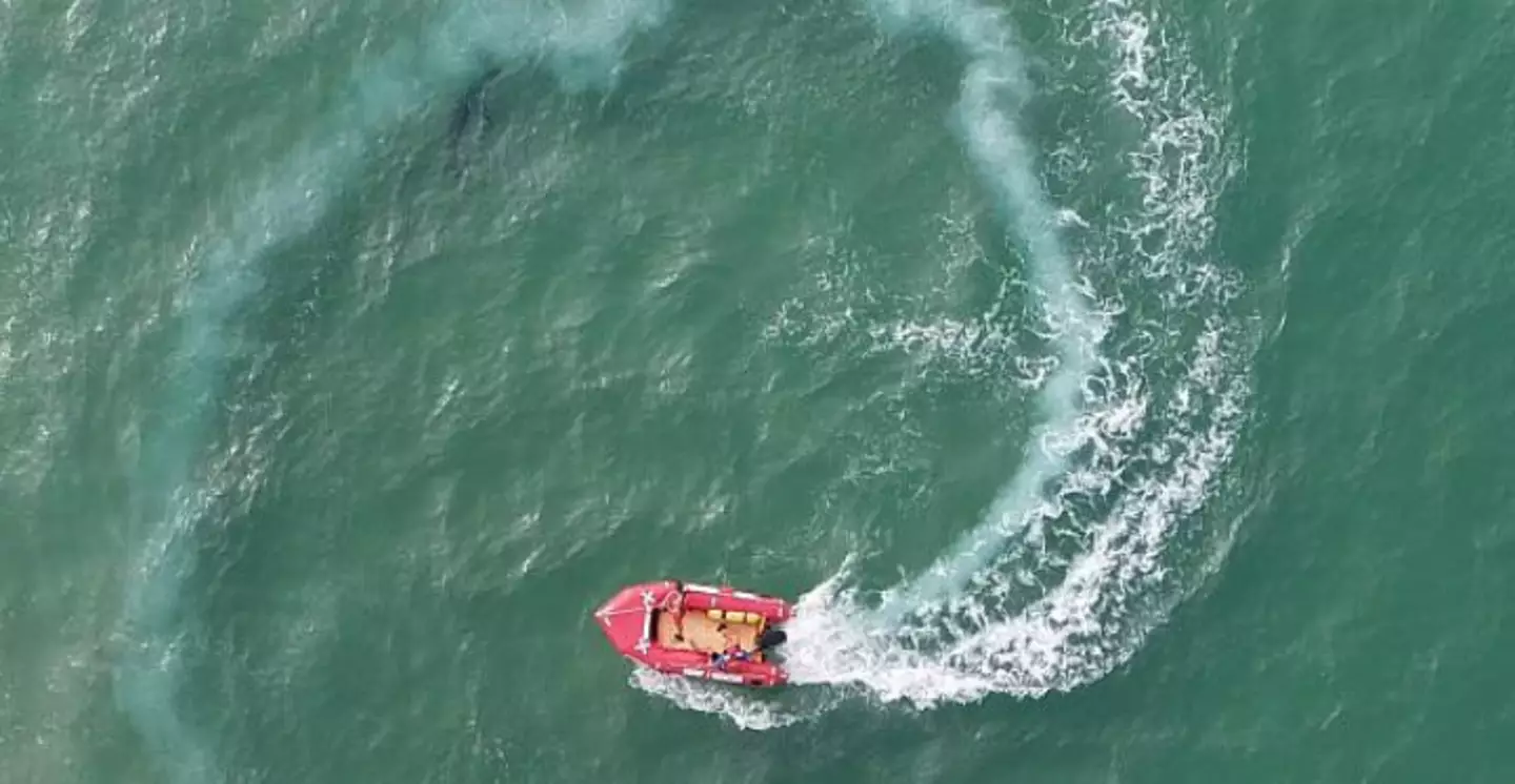 Just north of the boat you can see the dark outline of the shark(justreddis/Reddit)