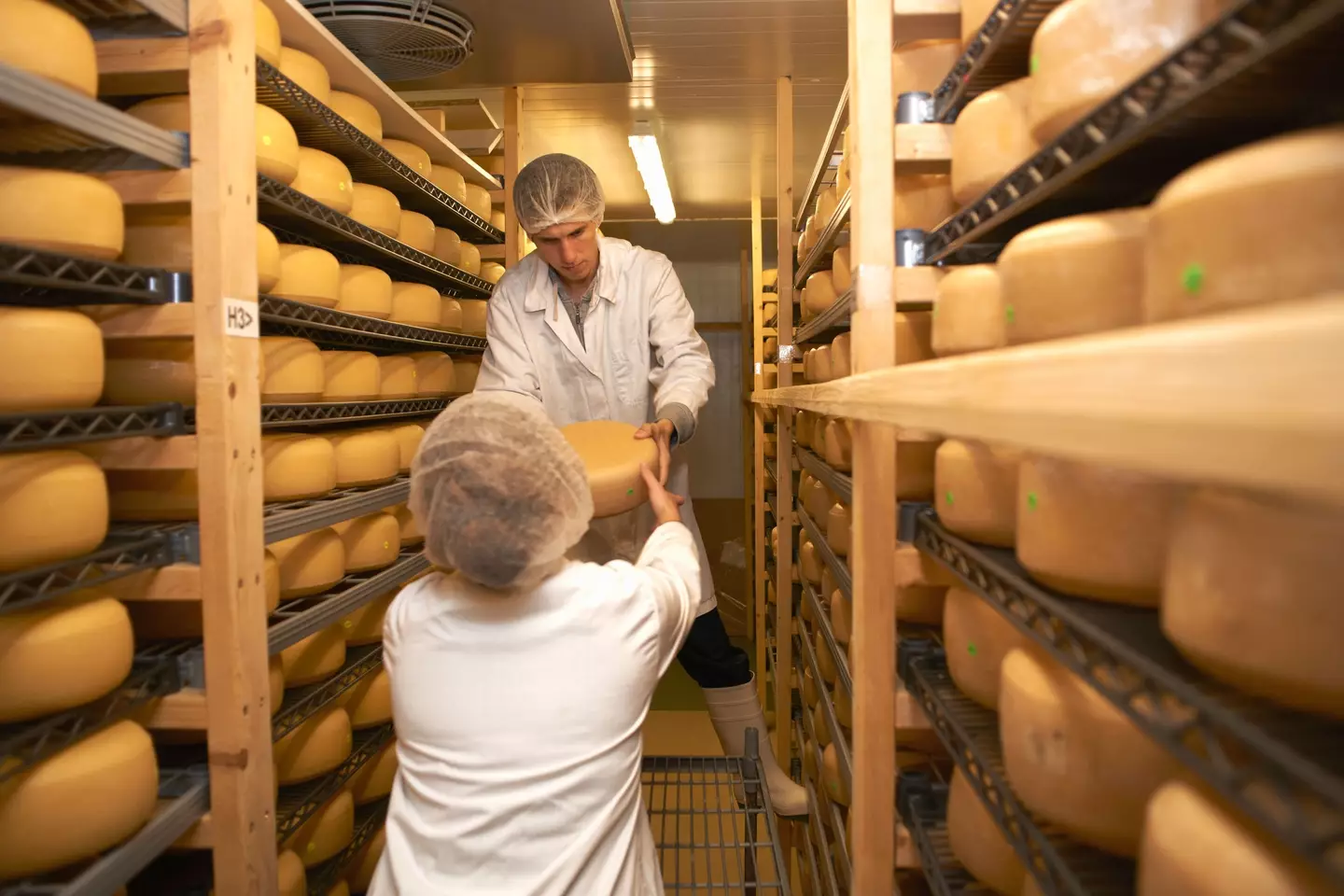 A warehouse full of cheese (Alamy)