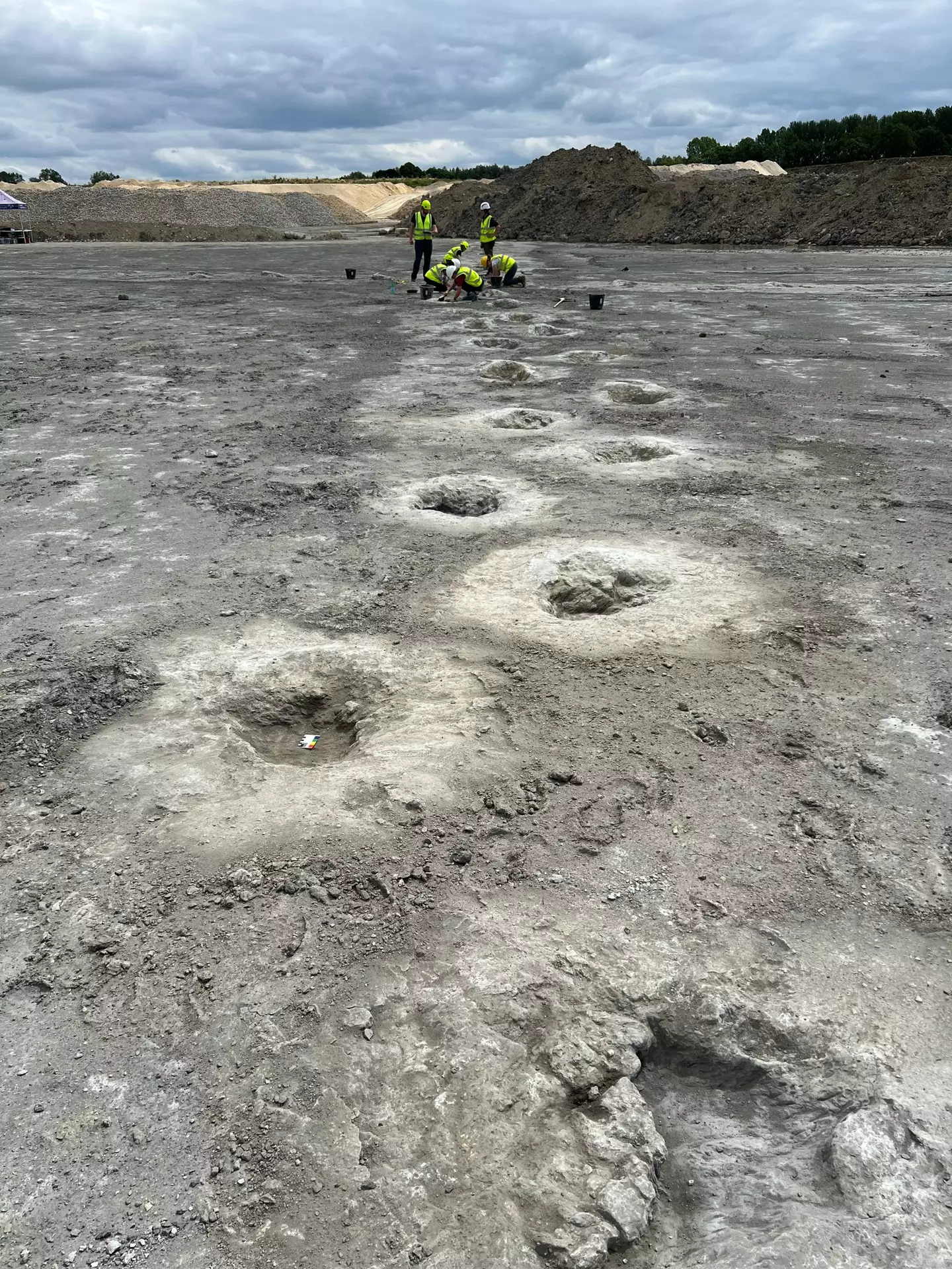 Almost 200 tracks were found by the 100-strong team of researchers (Emma Nicholls/University of Birmingham/PA Wire)