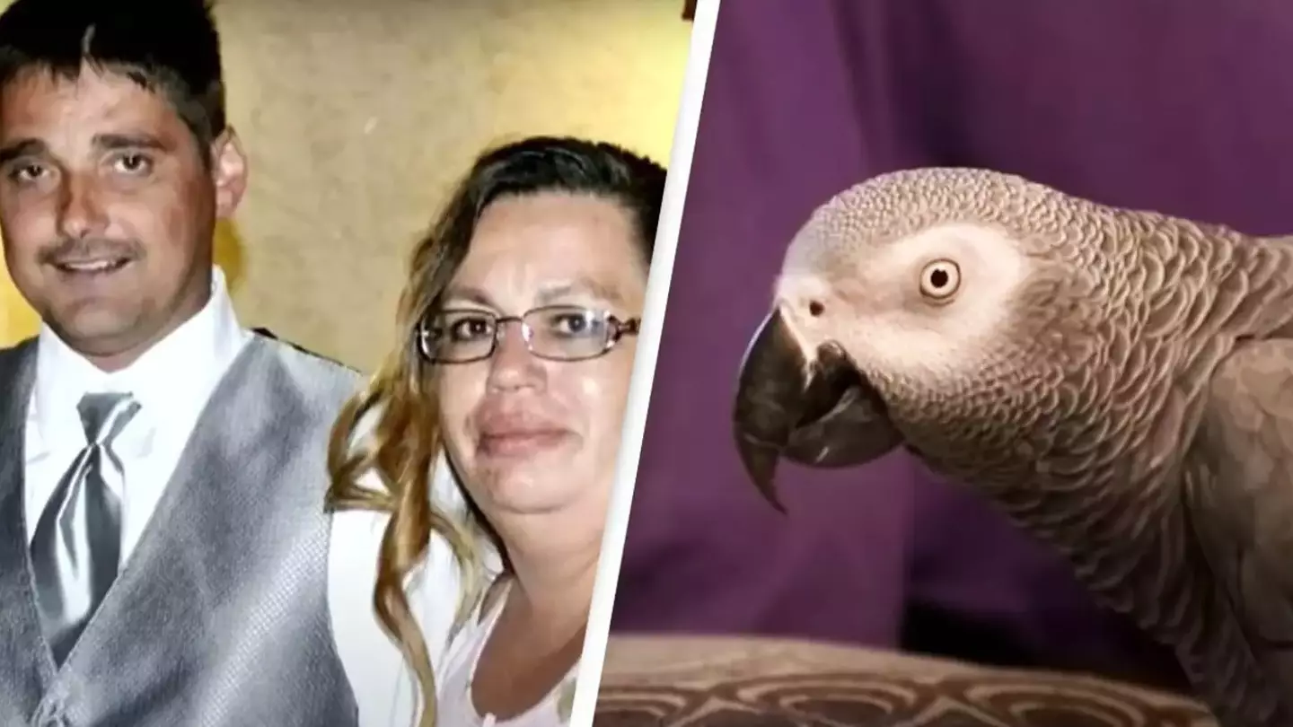 Woman convicted of killing husband after parrot repeated victim's 'last words’