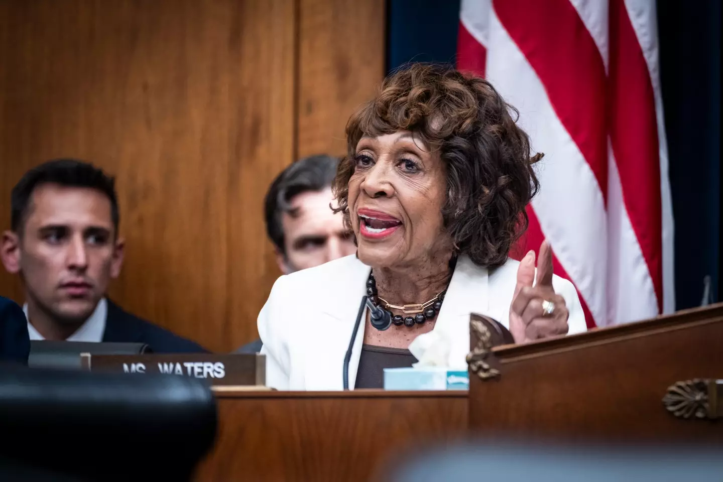 Maxine Waters explained the many issues she has with Trump and his administration (Pete Marovich/Getty Images)