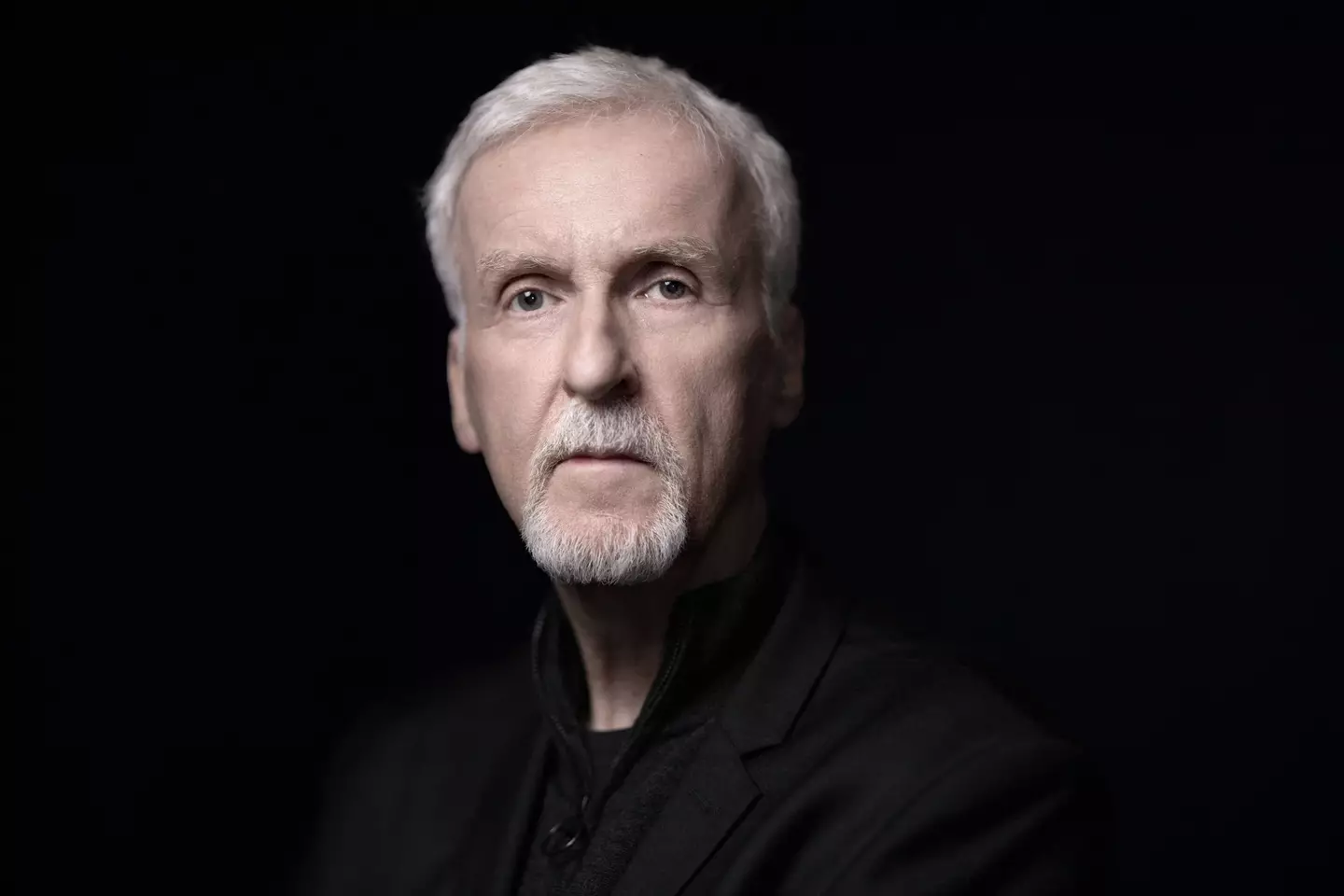 People wondered what James Cameron would think. (JOEL SAGET/AFP via Getty Images)