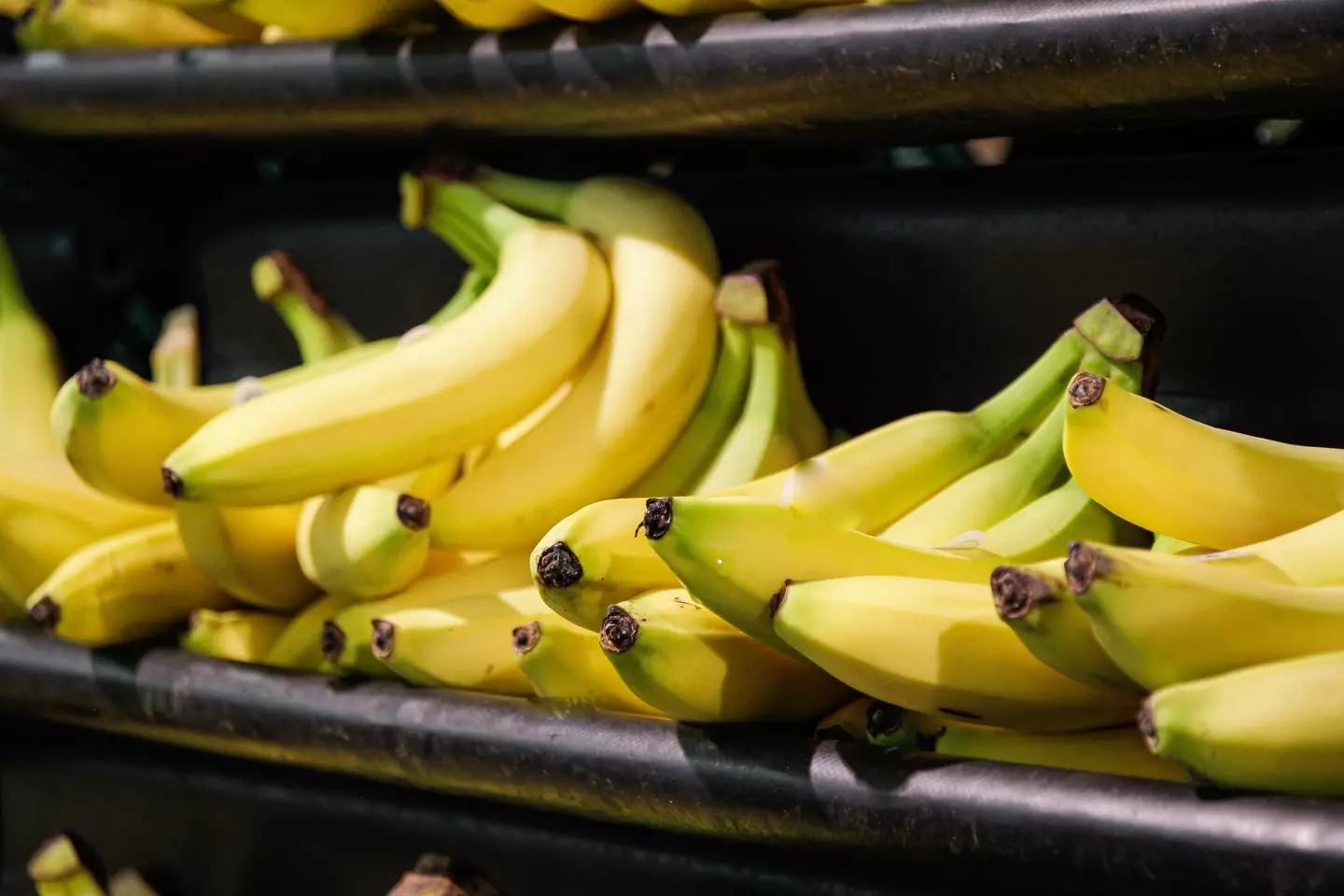 Have you ever thought about putting a banana in the fridge, anyway? (Getty Stock Photo)