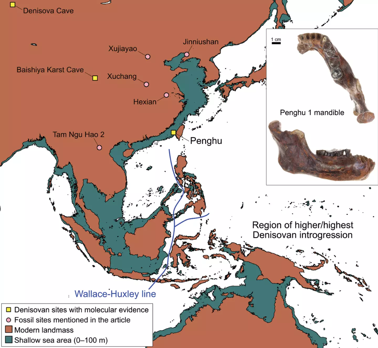 The jawbone was located in the Penghu Channel in Taiwan (Yousuke Kaifu/Chun-Hsiang Chang/Science)