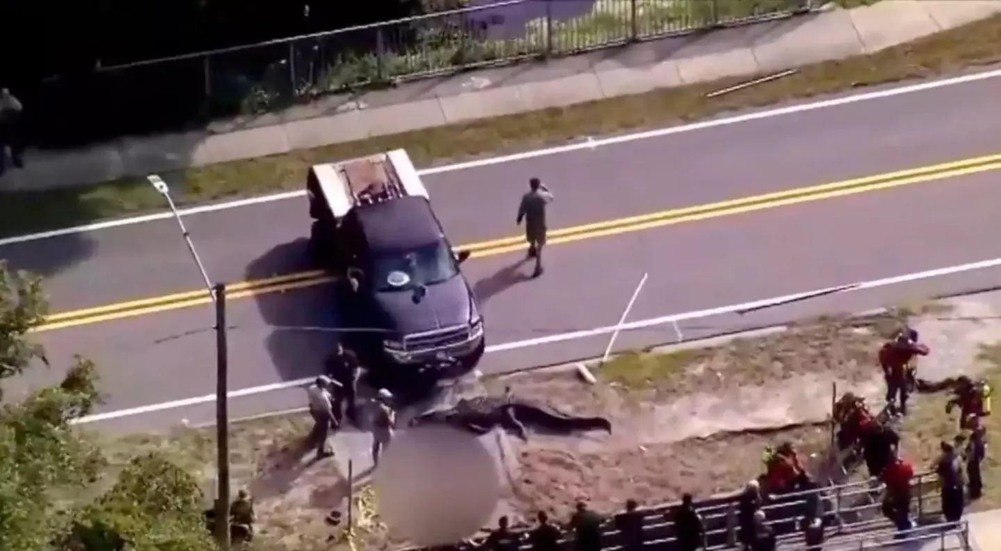 The alligator's body was taken away on a truck.