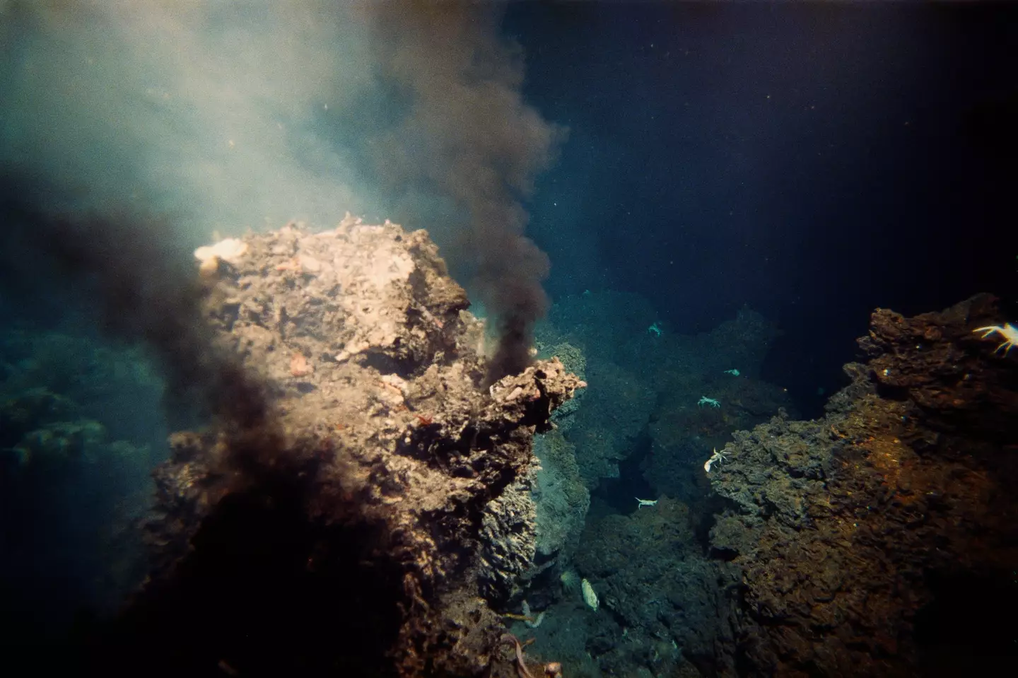 Il existe plus de 500 sources hydrothermales dans l’océan.