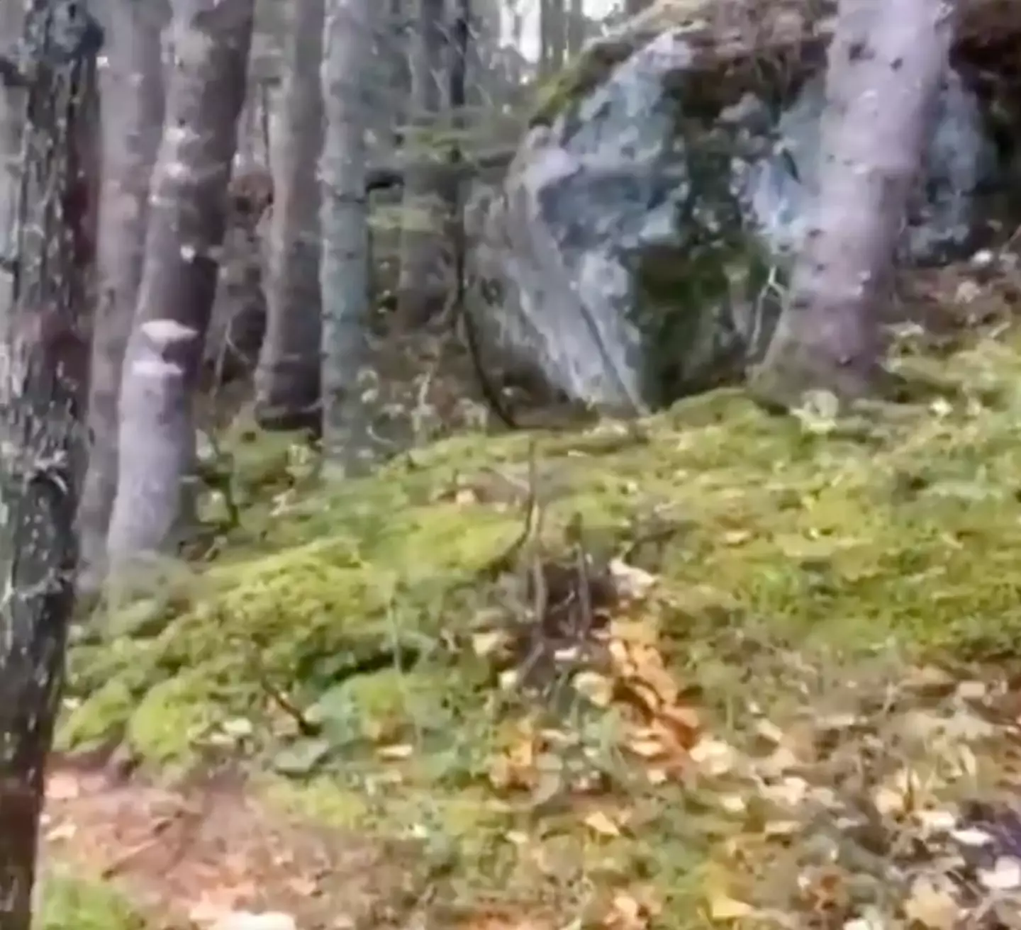 In the clip, the ground surges upwards repeatedly.