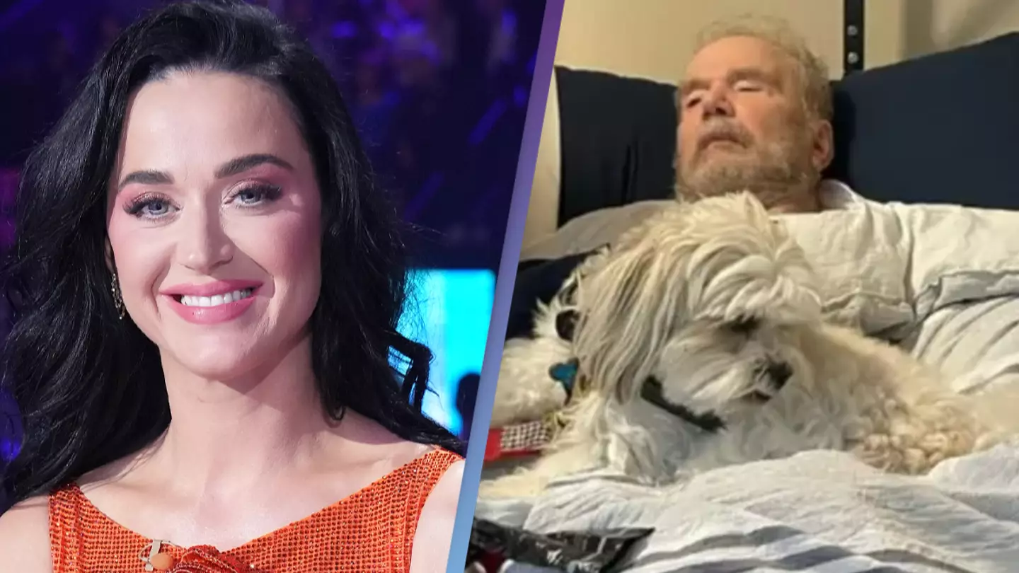 Katy Perry accused of using 'swarm of lawyers' to 'prey' on dying 84-year-old veteran in battle over house