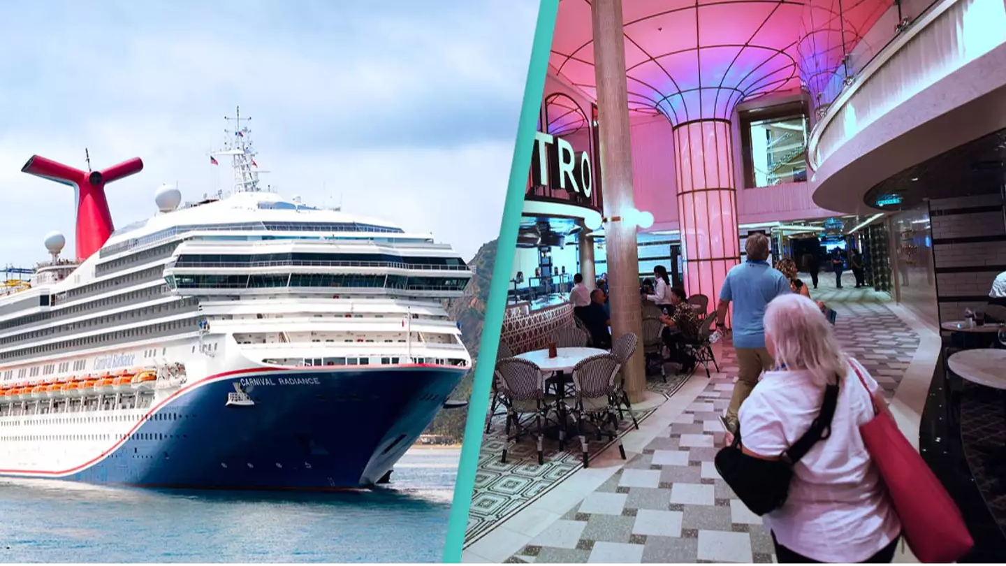 Cruise ship passengers sue after 'hundreds' got sick with 'uncontrollable vomiting'